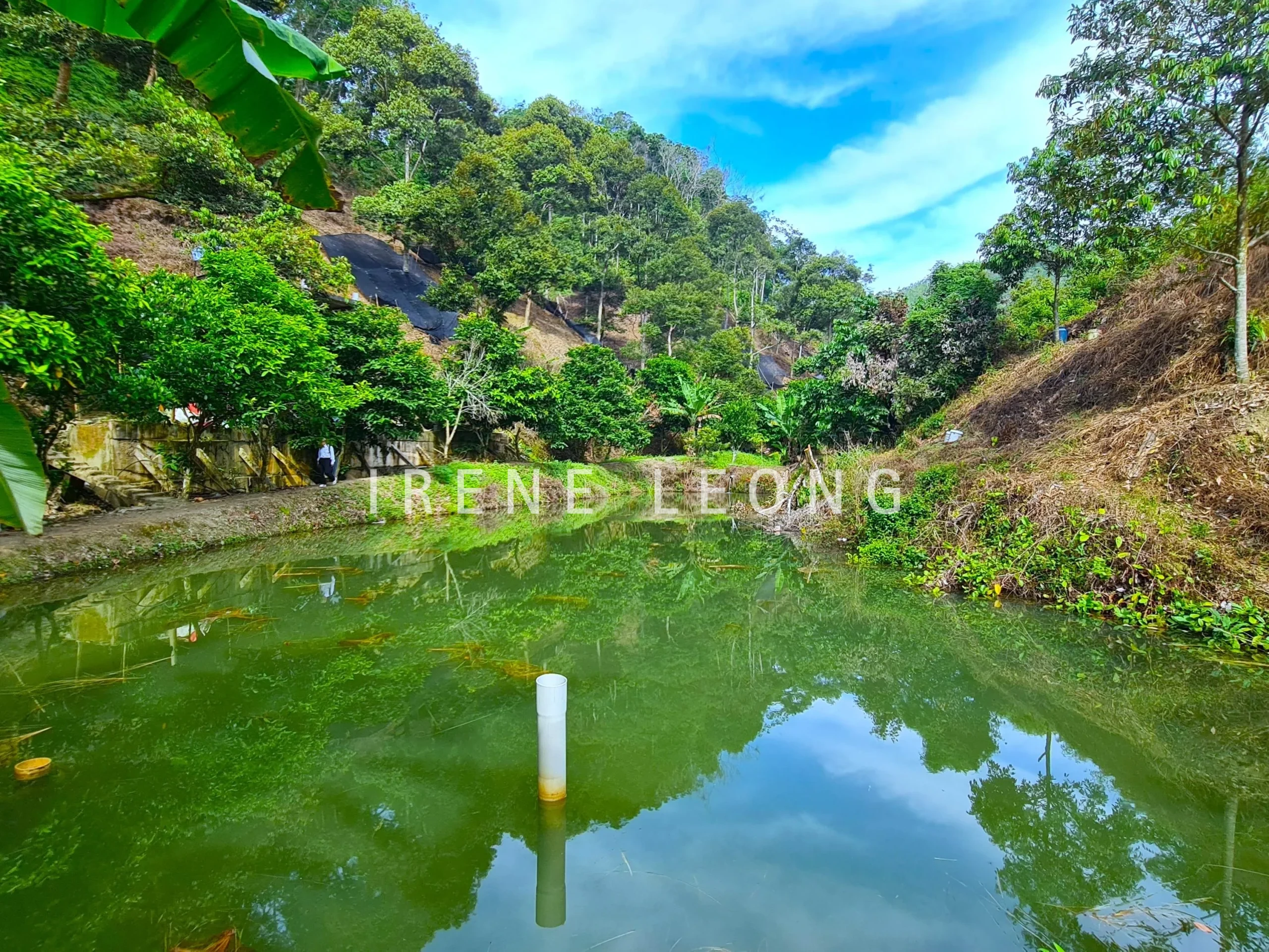 20220403_100912--crushimage
