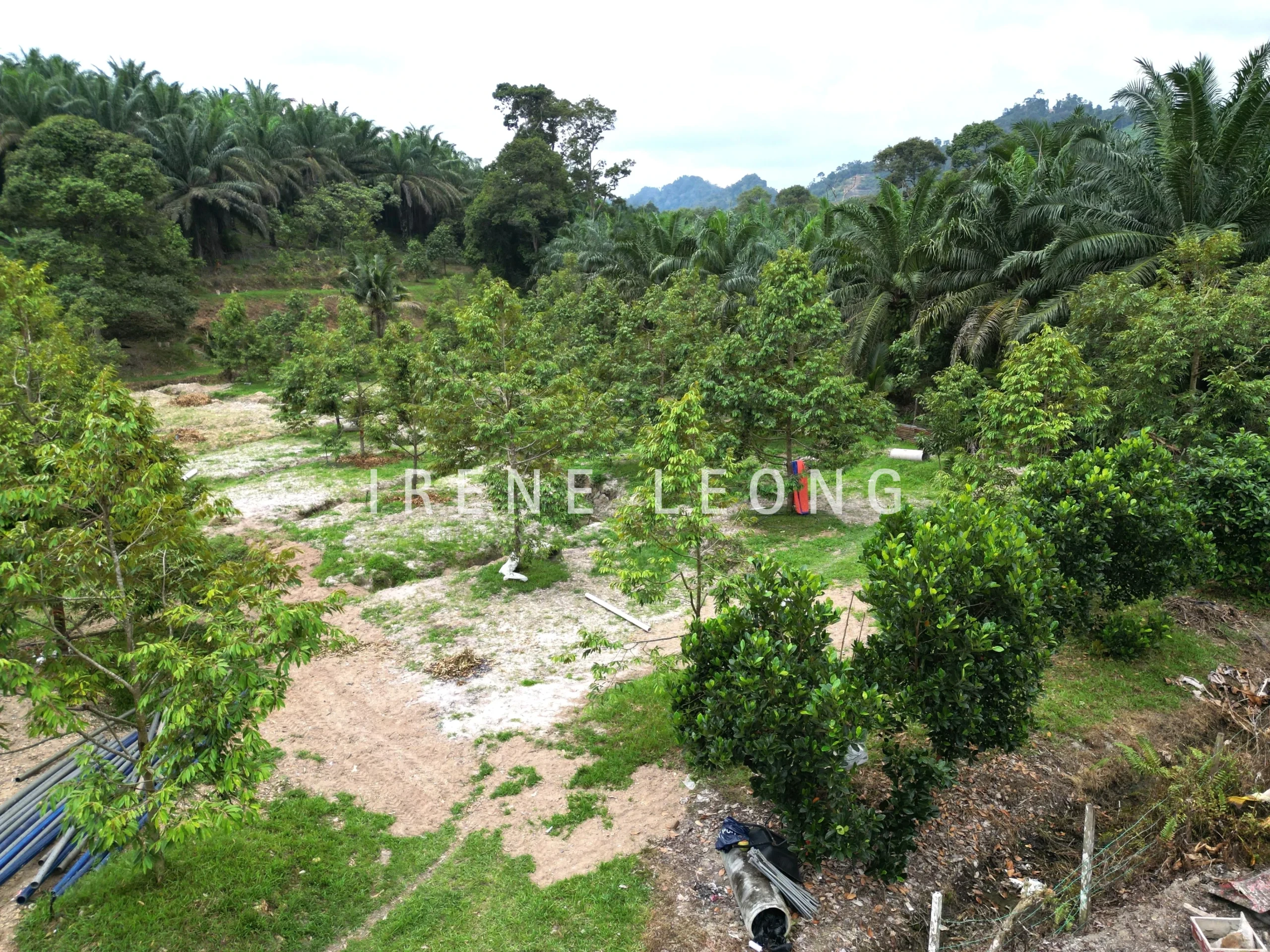 DJI_0098-CompressJPG
