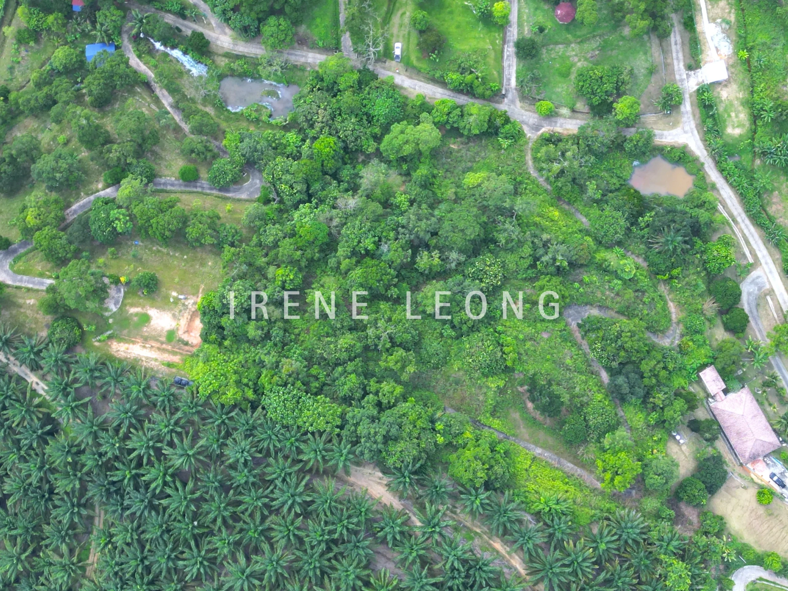 DJI_0113