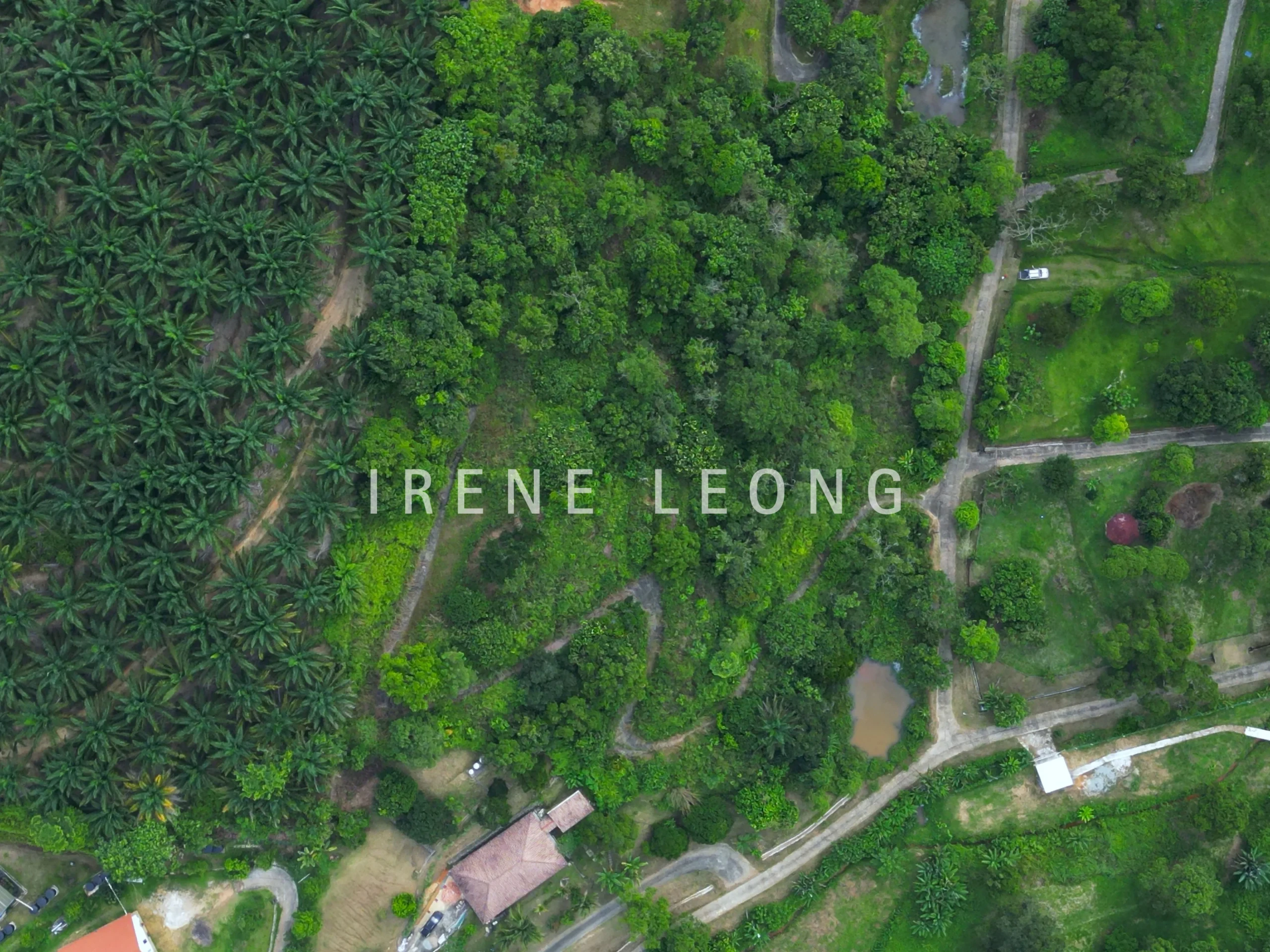 DJI_0115