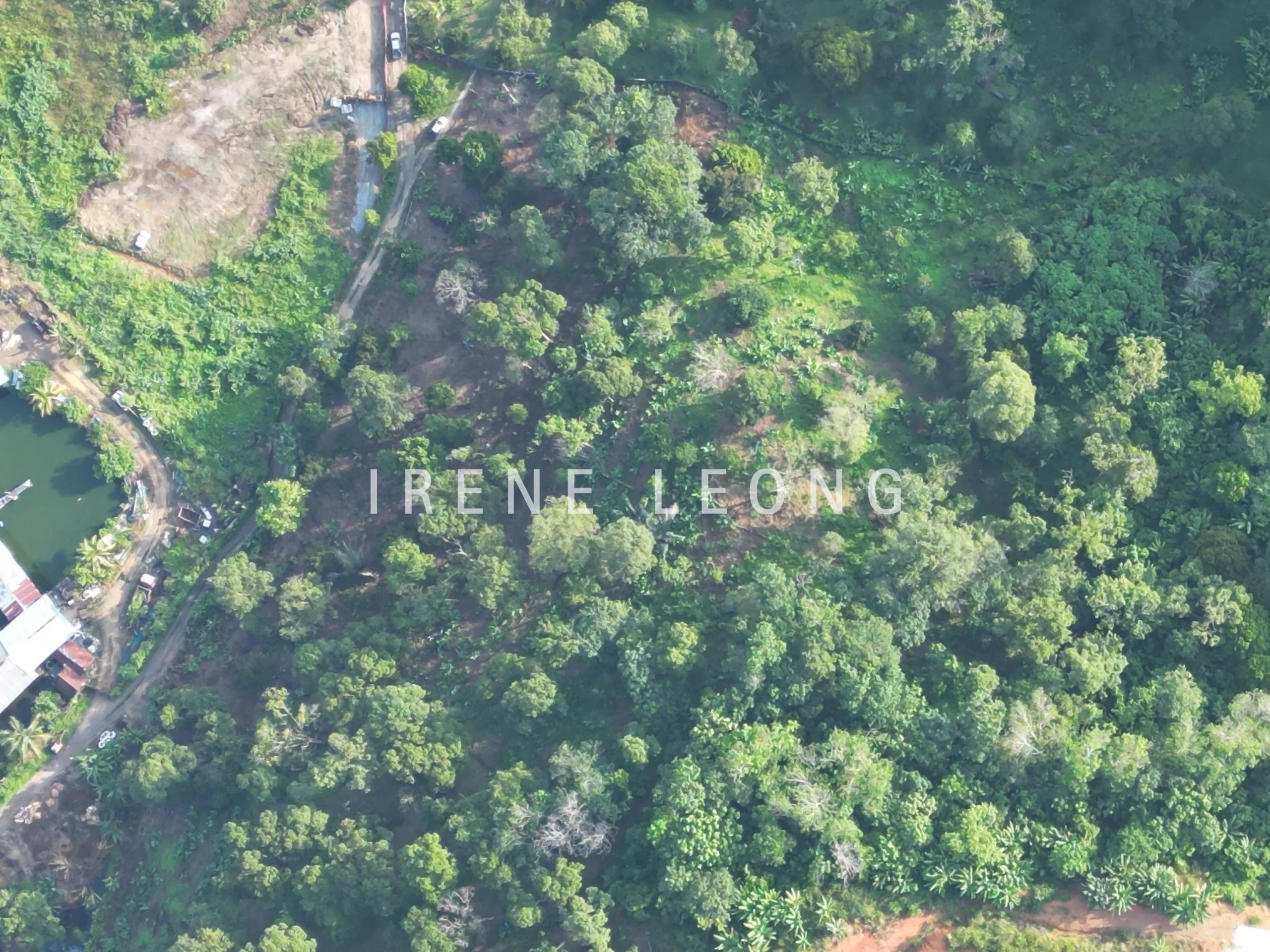 DJI_0238-