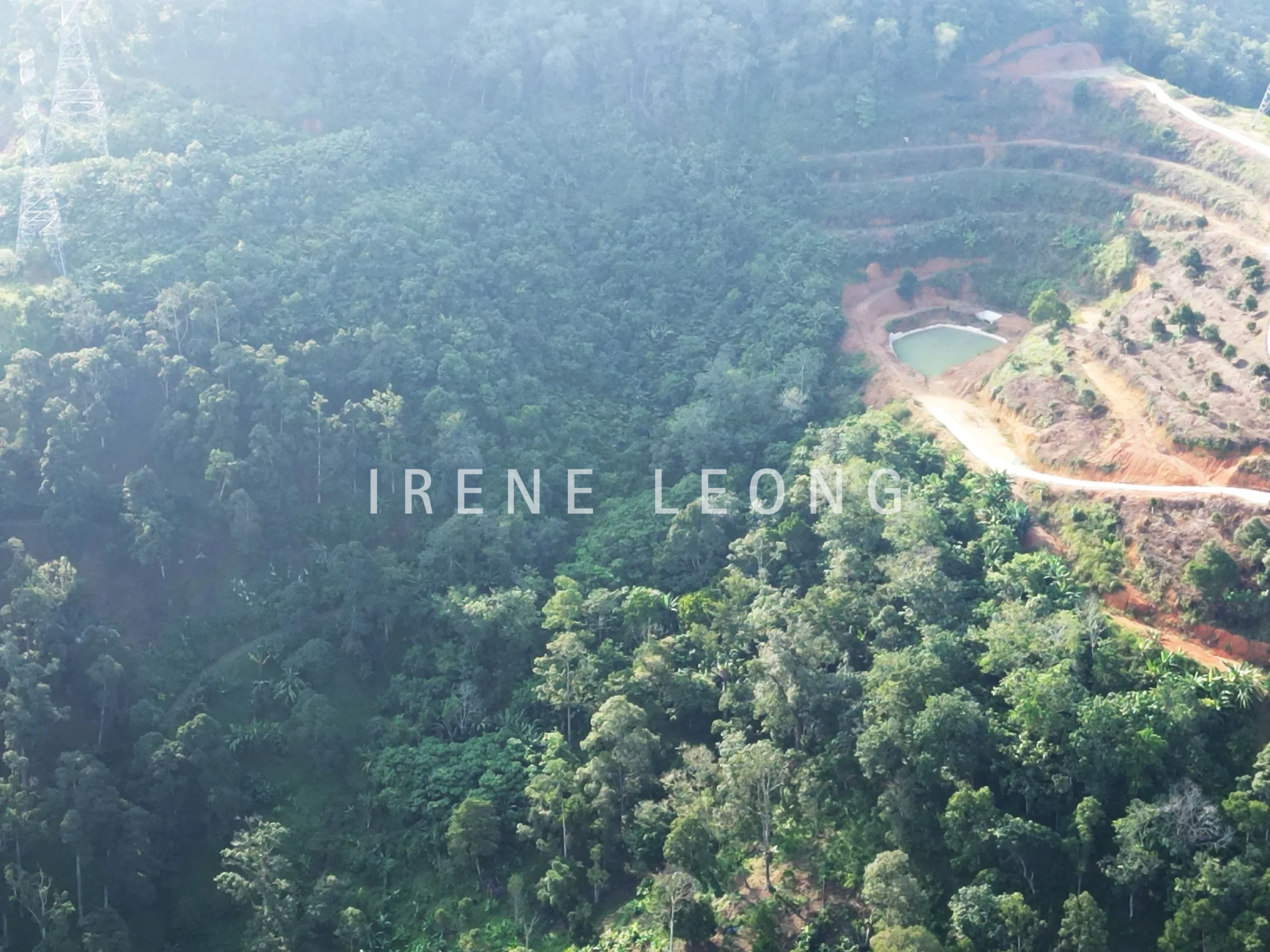 DJI_0246-