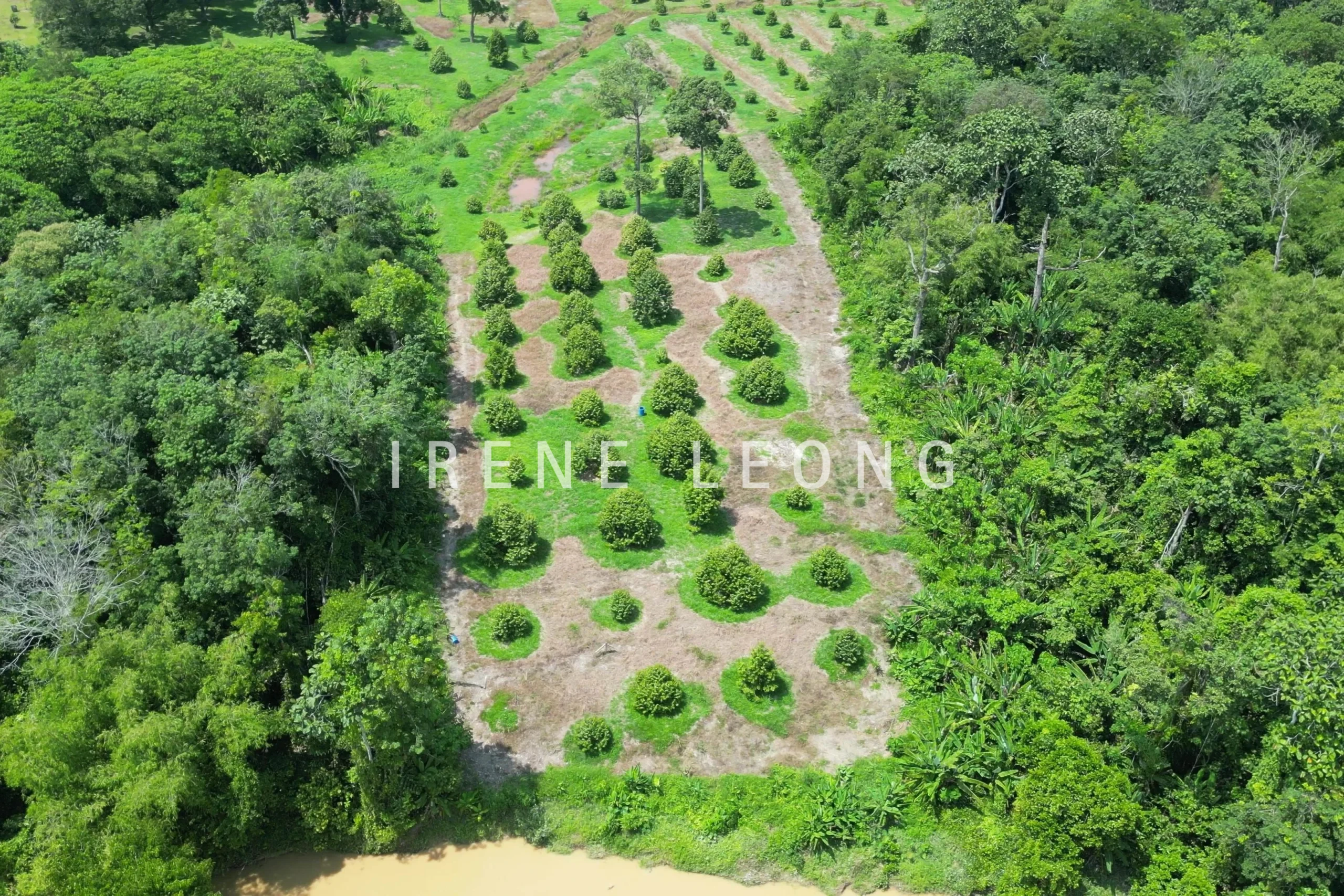 DJI_0269 - frame at 0m5s-crushimage