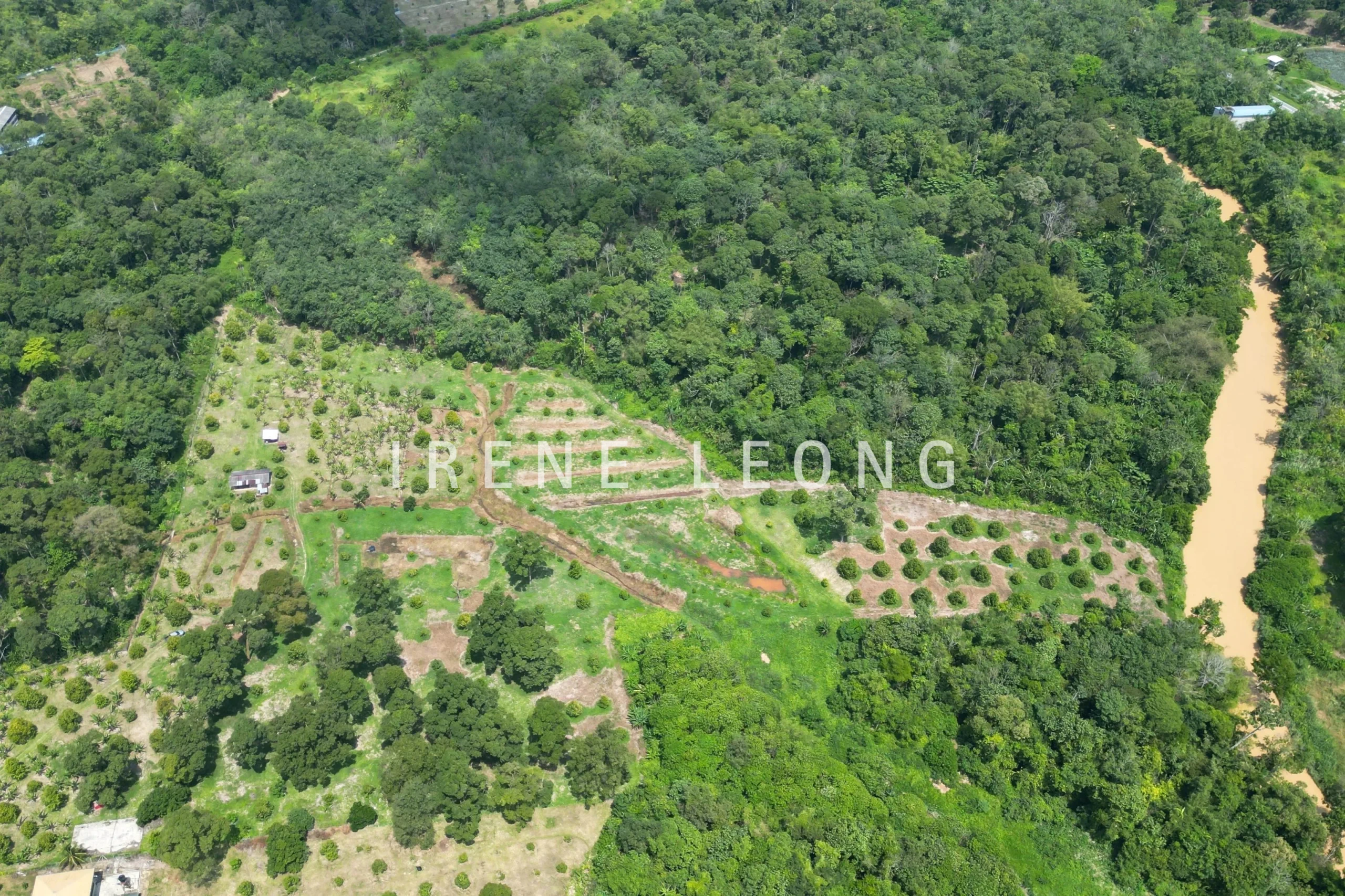 DJI_0281-crushimage