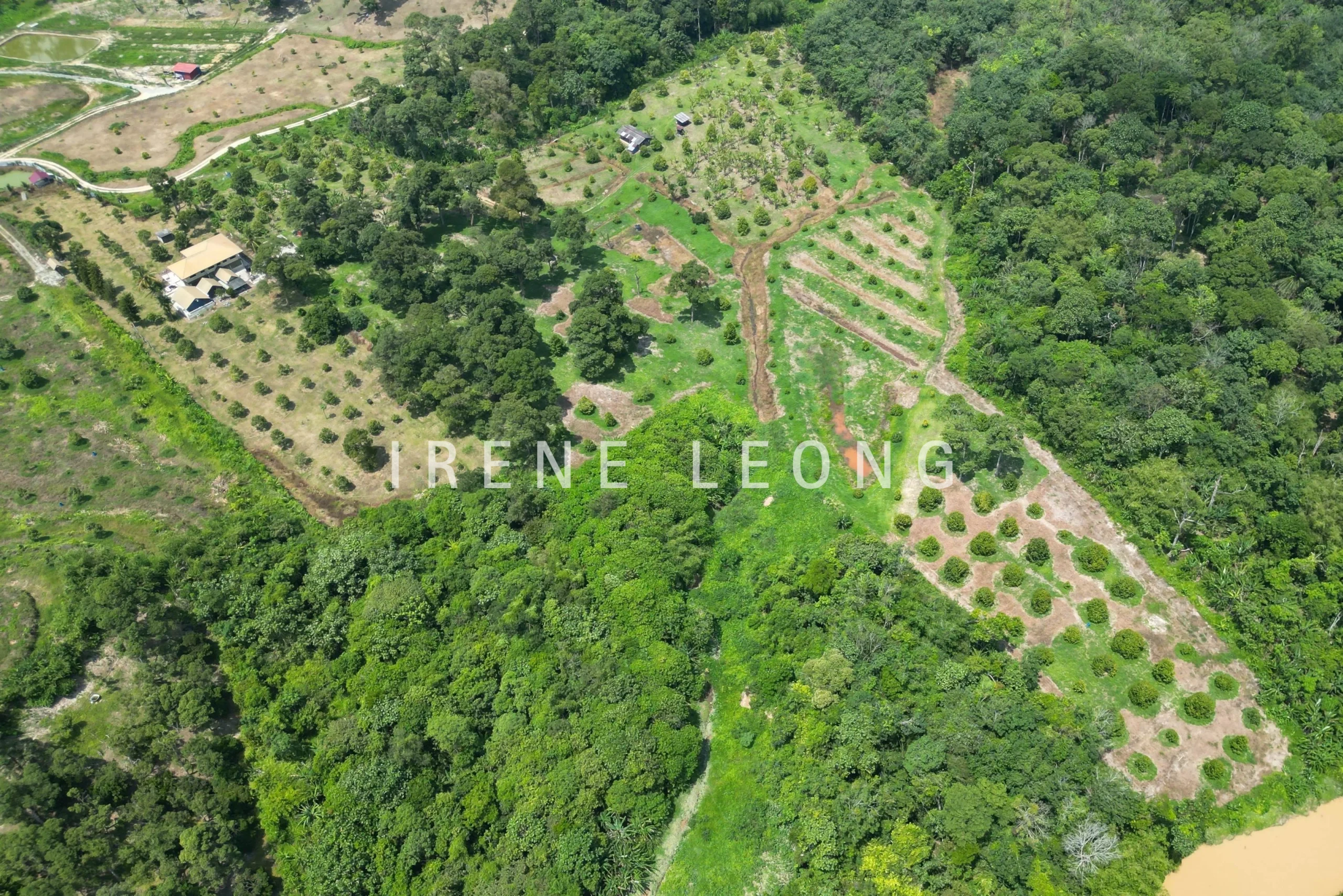 DJI_0283-crushimage