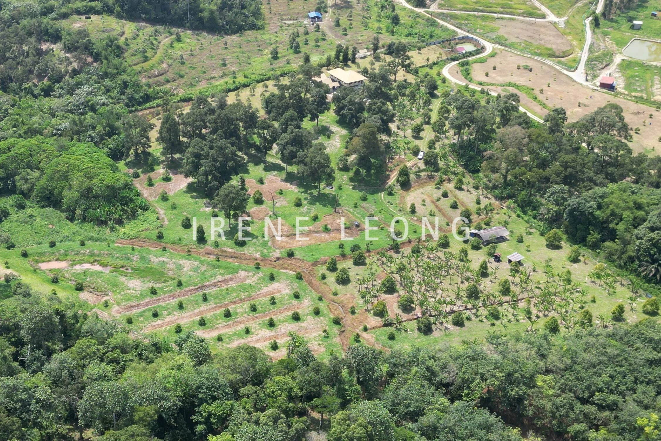 DJI_0285-crushimage