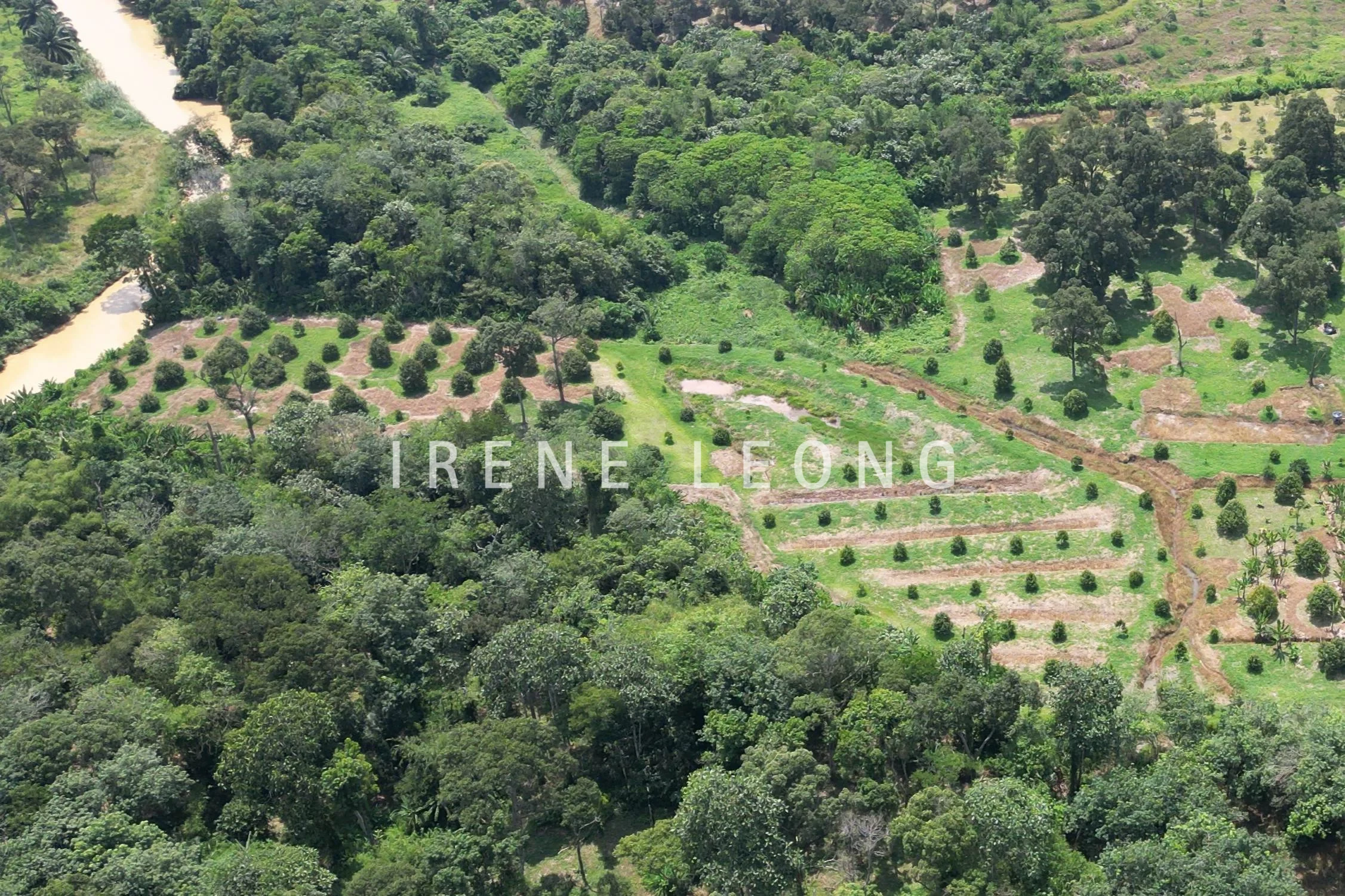 DJI_0286-crushimage