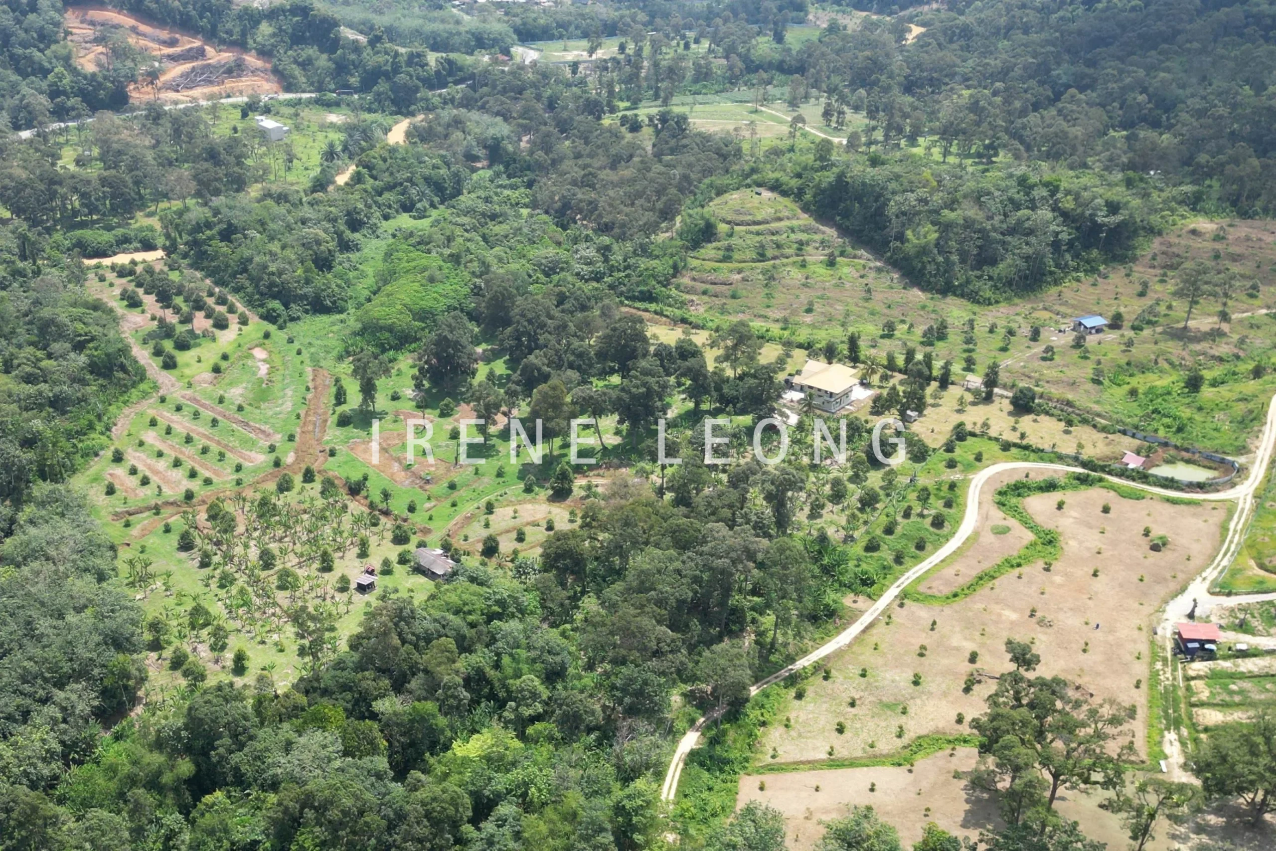 DJI_0288-crushimage