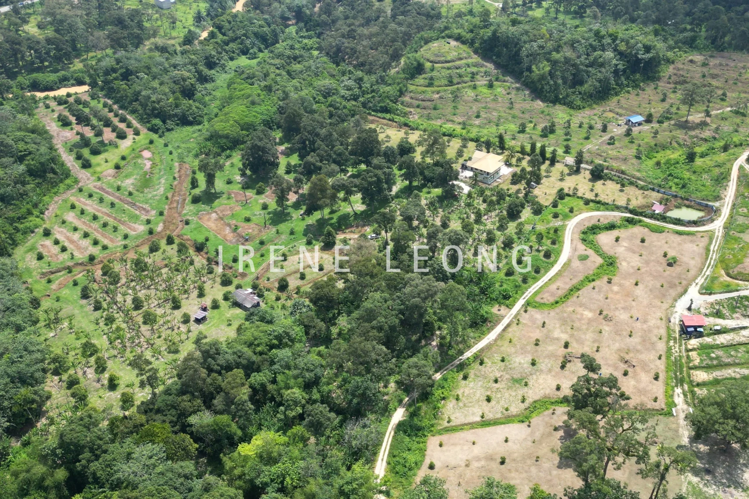 DJI_0290-crushimage