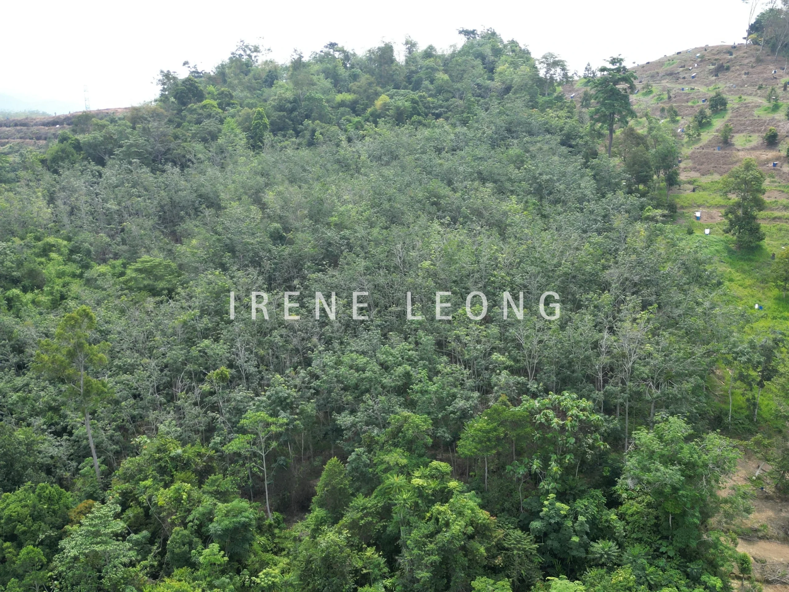 DJI_0306_cropped
