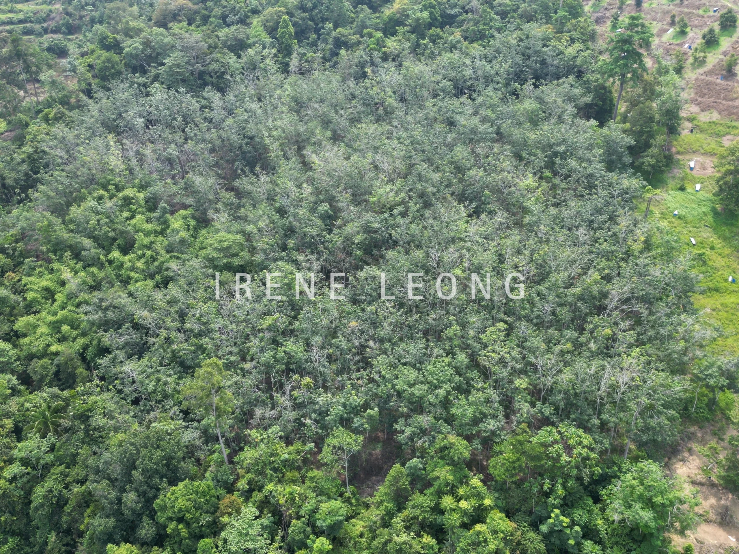 DJI_0307_cropped
