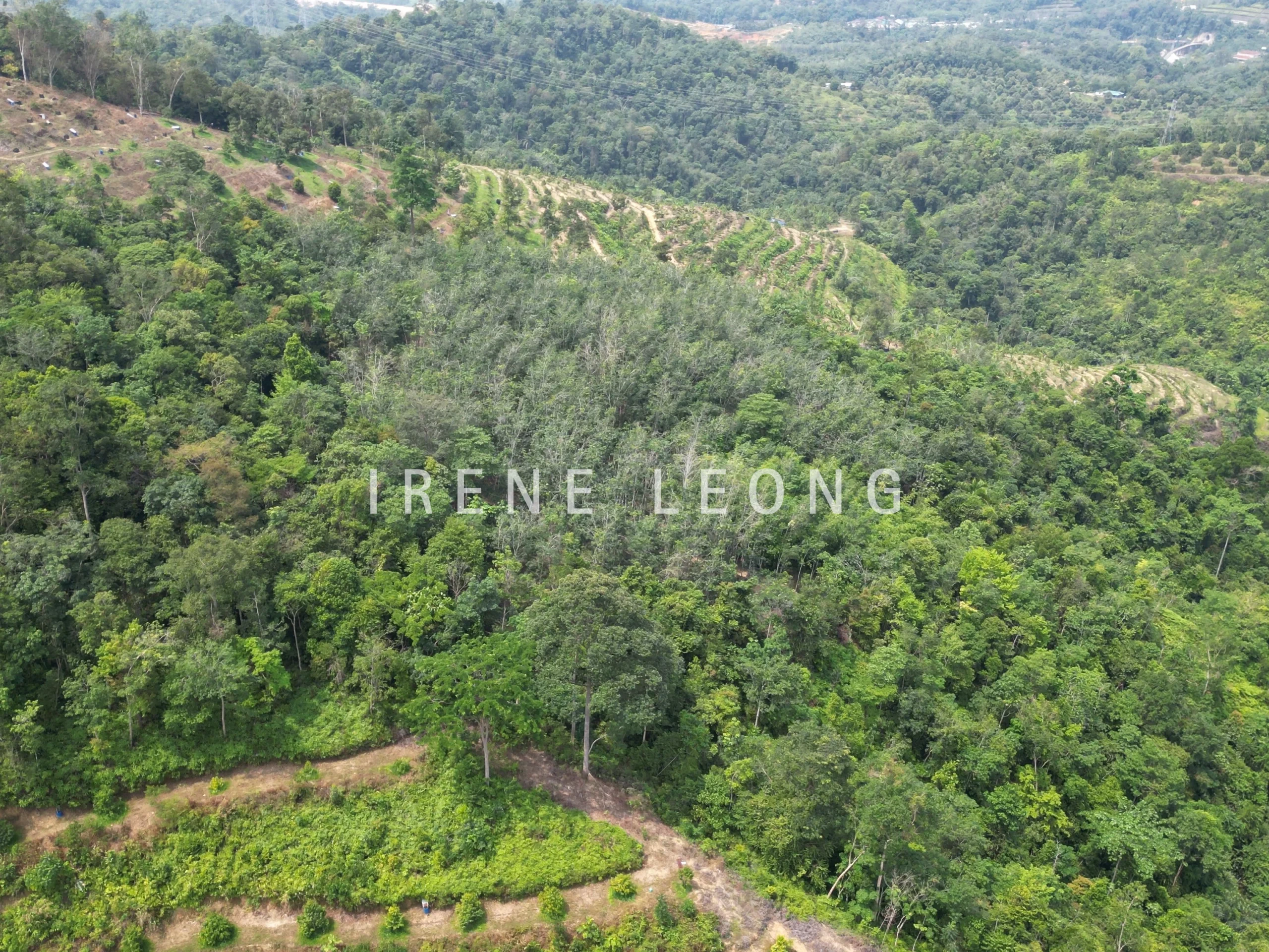 DJI_0311_cropped