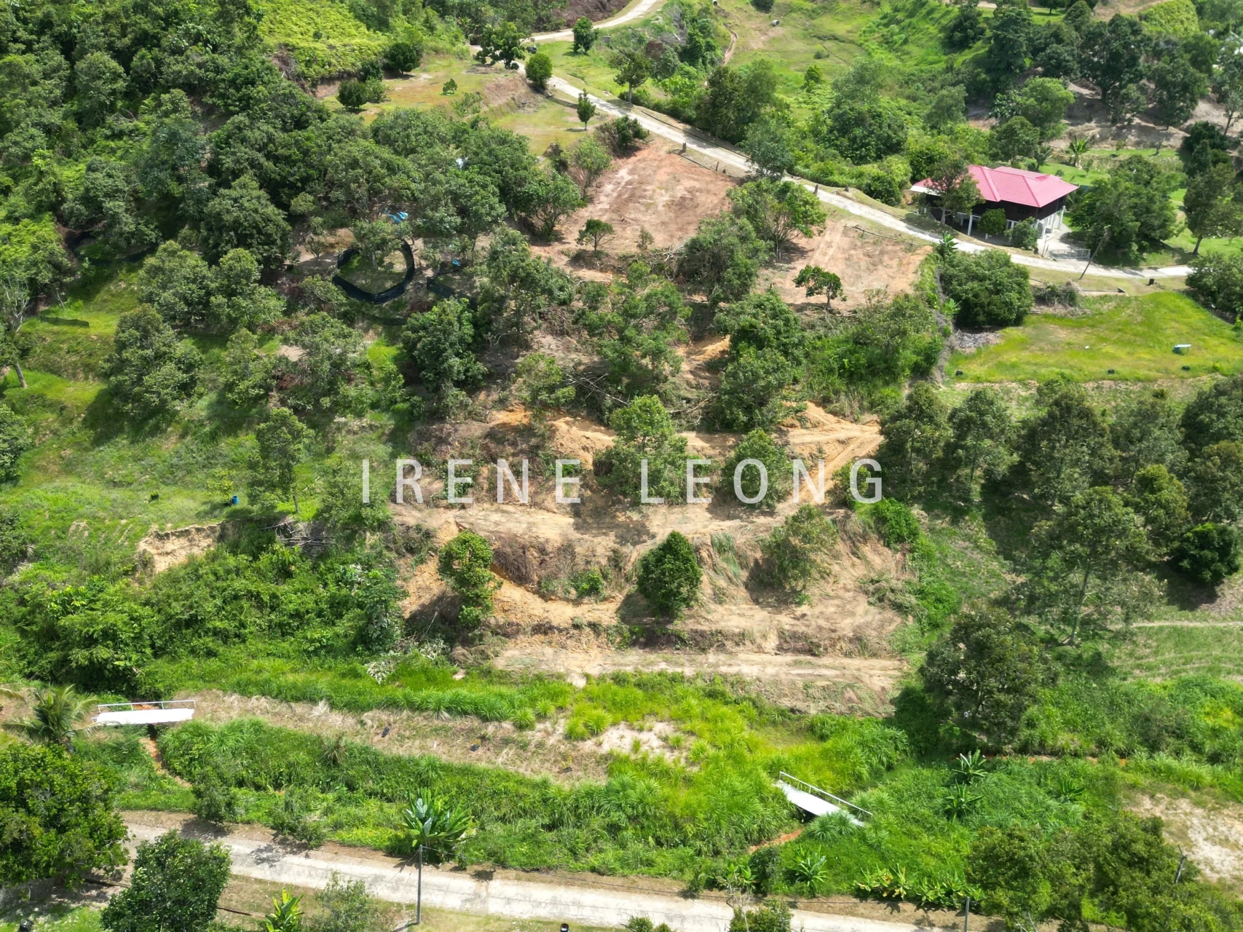 DJI_0373