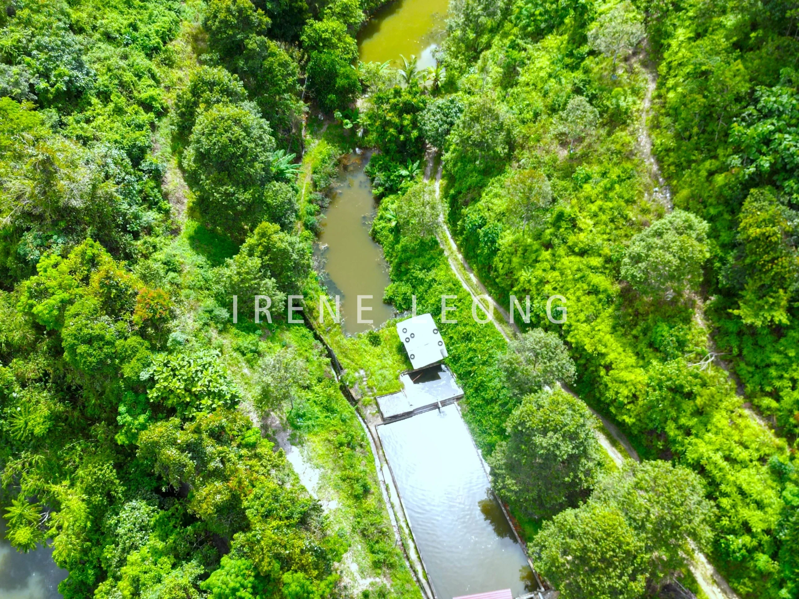 DJI_0510--crushimage