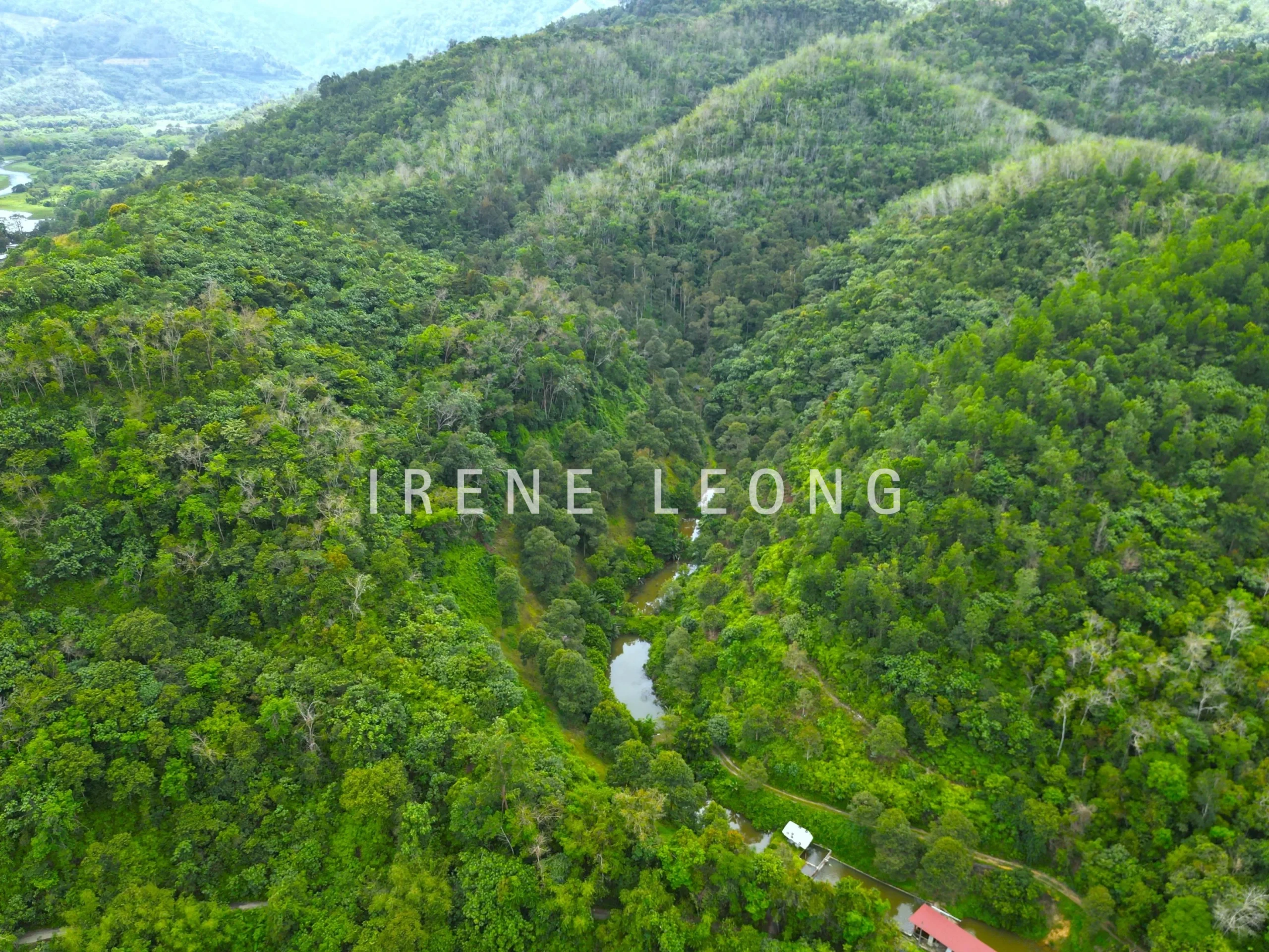 DJI_0525--crushimage