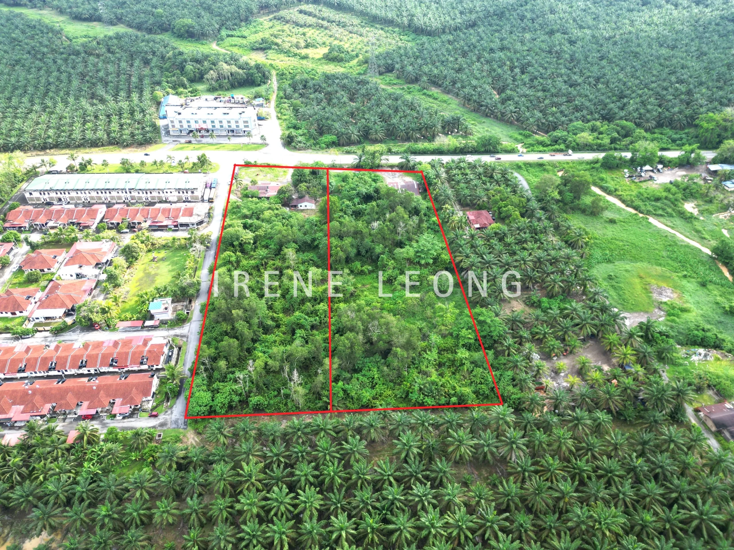 DJI_0536_1