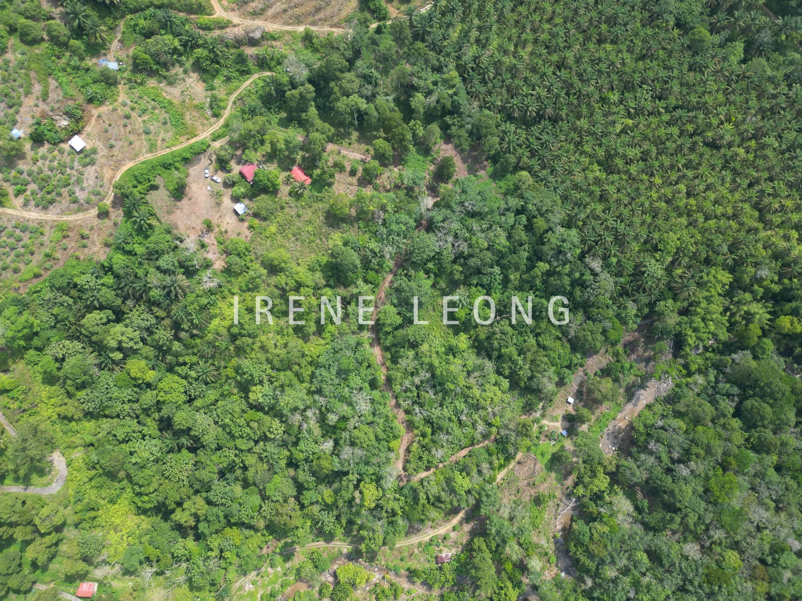 DJI_0581-CompressJPG