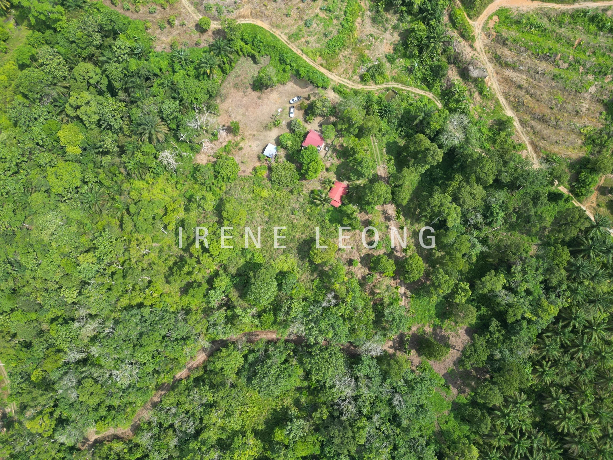 DJI_0585-CompressJPG