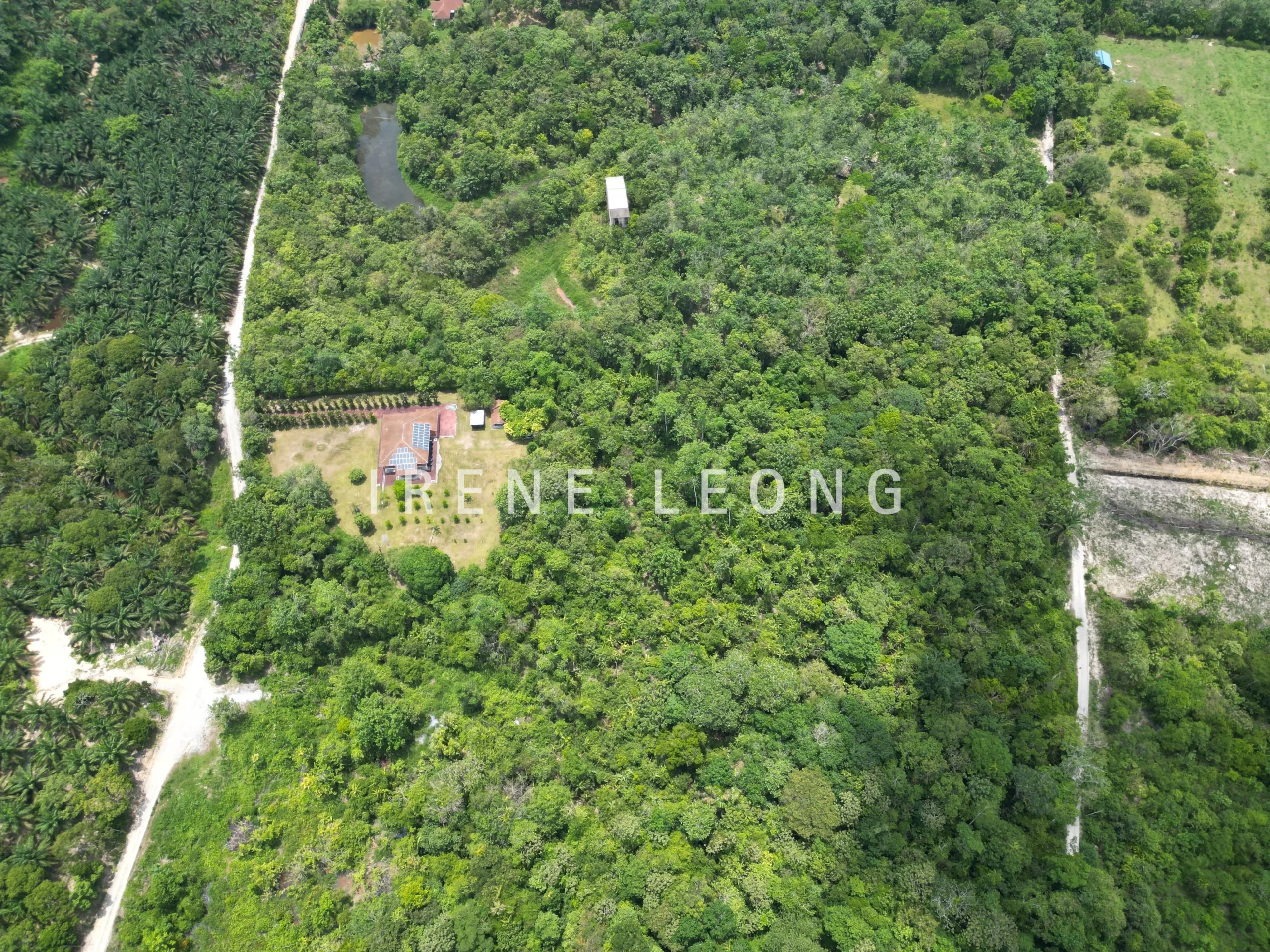 DJI_0597-crushimage