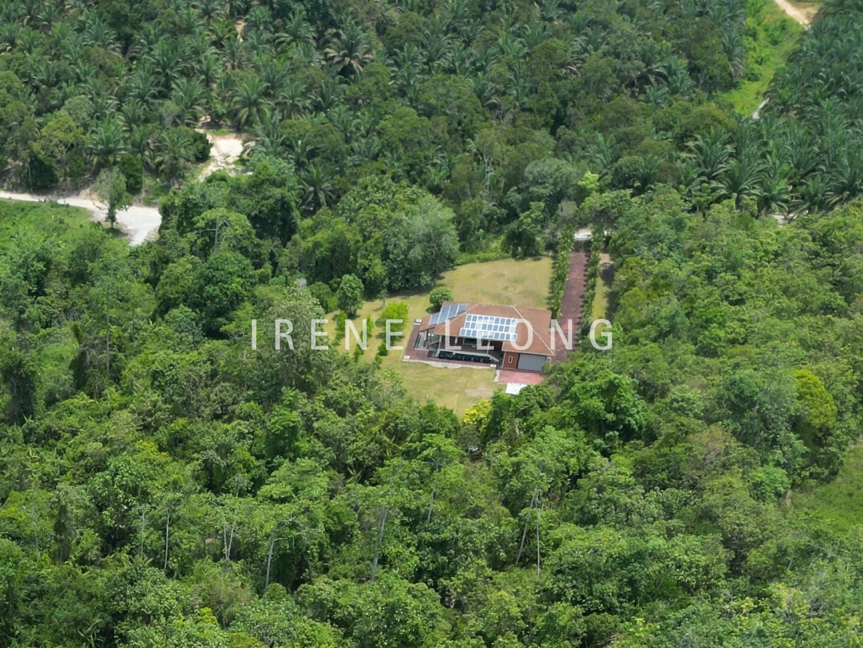 DJI_0605-crushimage