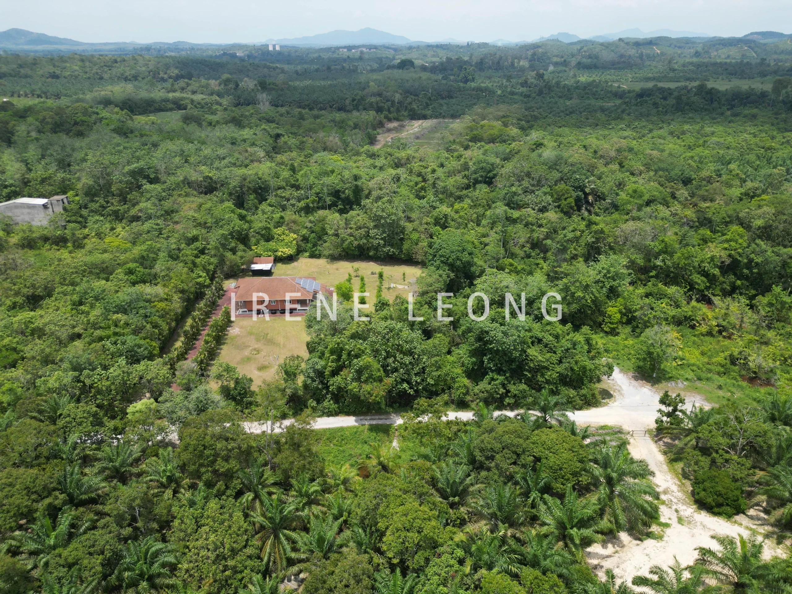 DJI_0608-crushimage