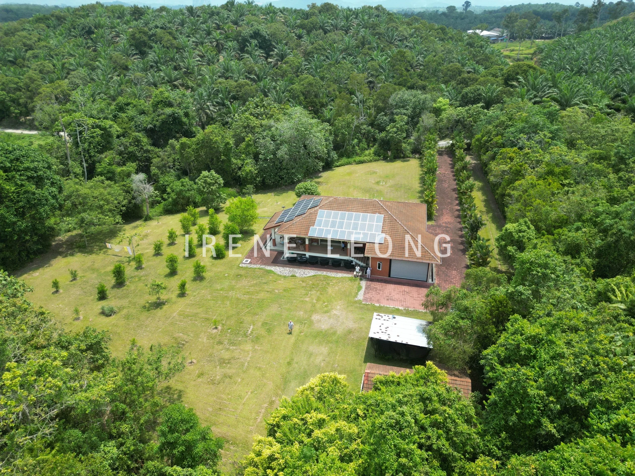 DJI_0616-crushimage