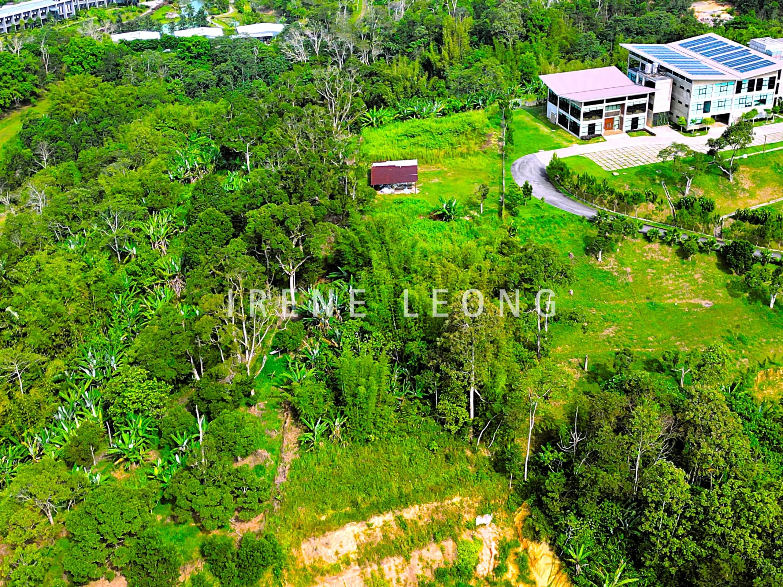 DJI_0686-crushimage