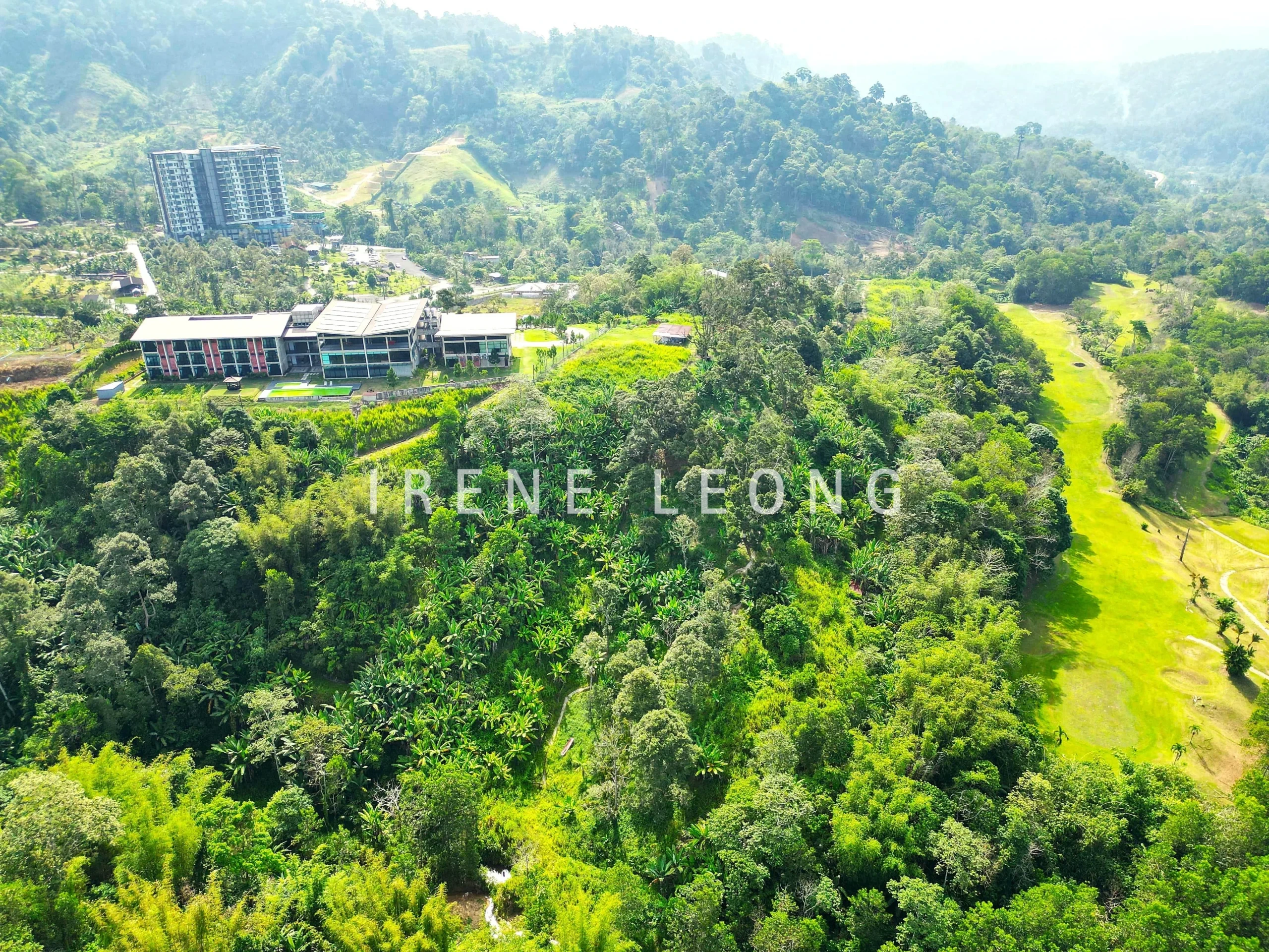 DJI_0697-crushimage