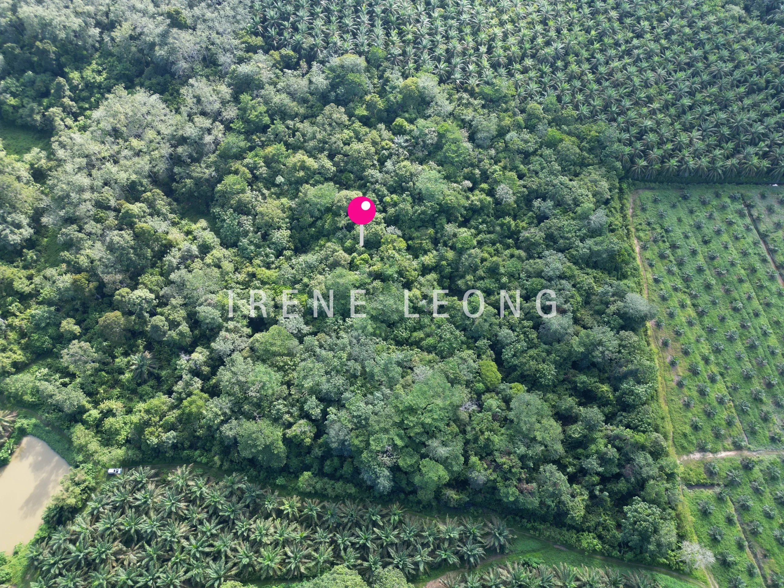 DJI_0767-1
