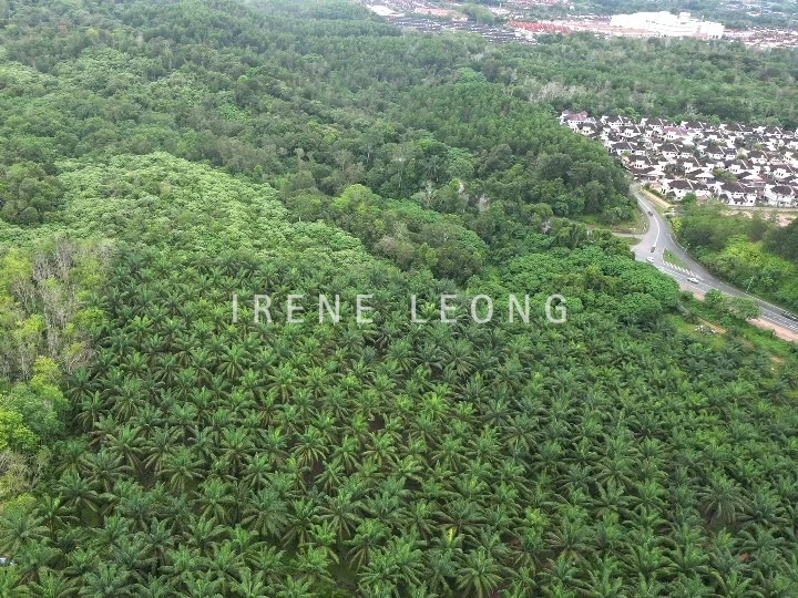 DJI_0816_cropped