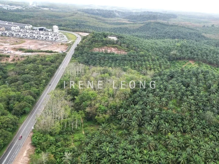 DJI_0821_cropped