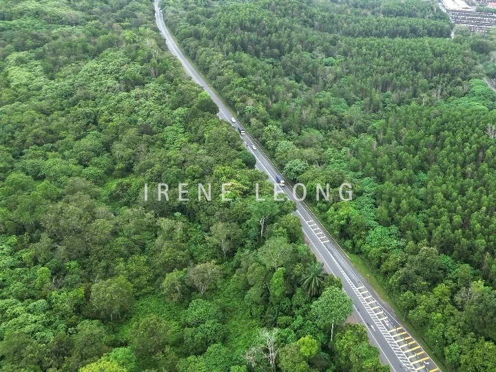 DJI_0824_cropped