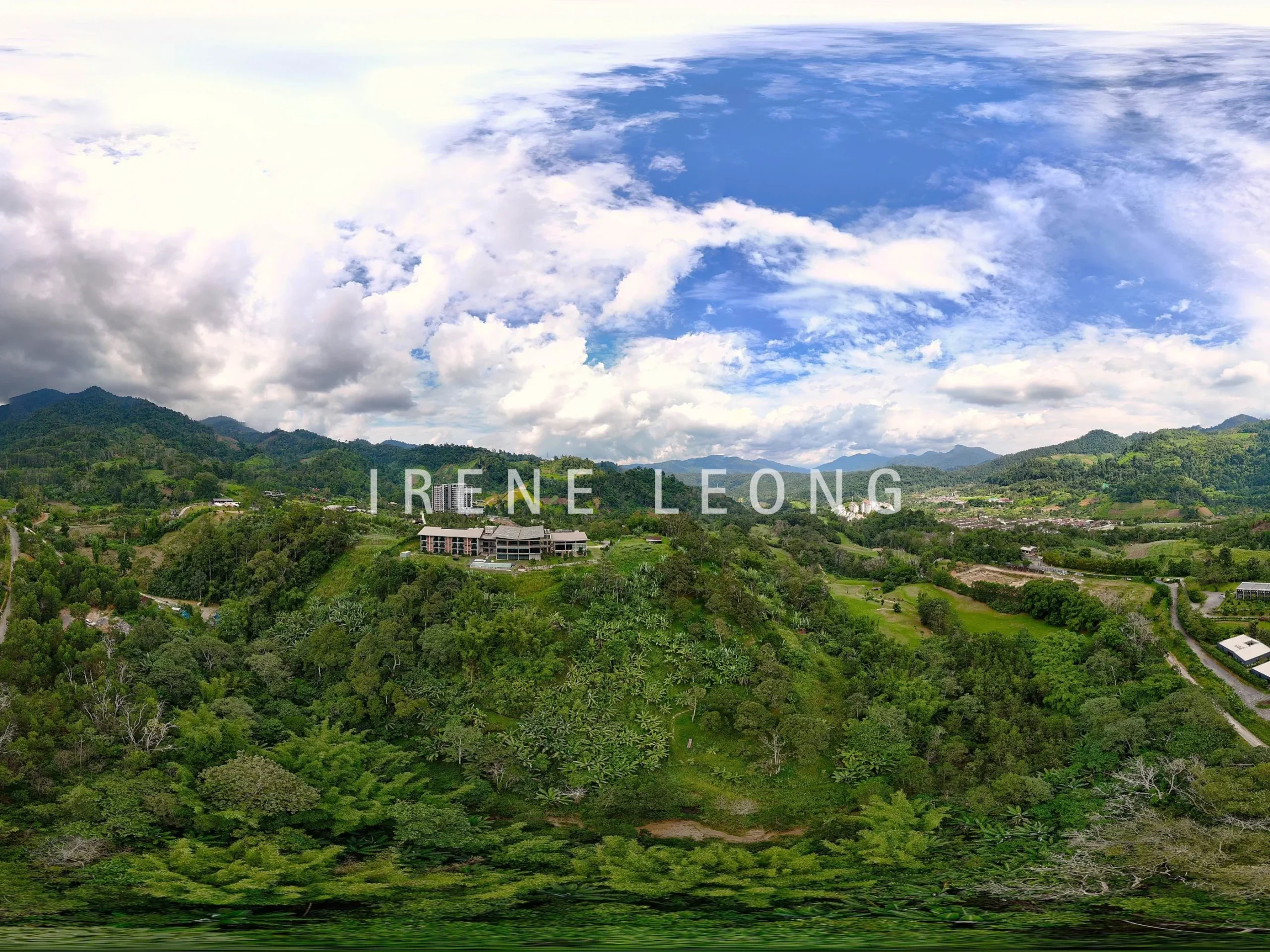DJI_20240603154707_0388_D-crushimage_cropped