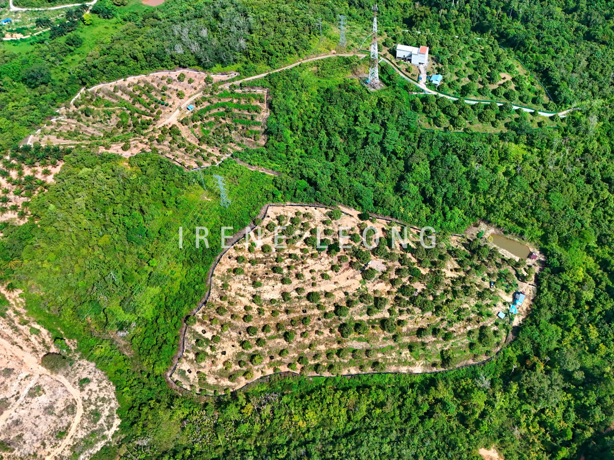 DJI_20240617155332_0031_D_cropped