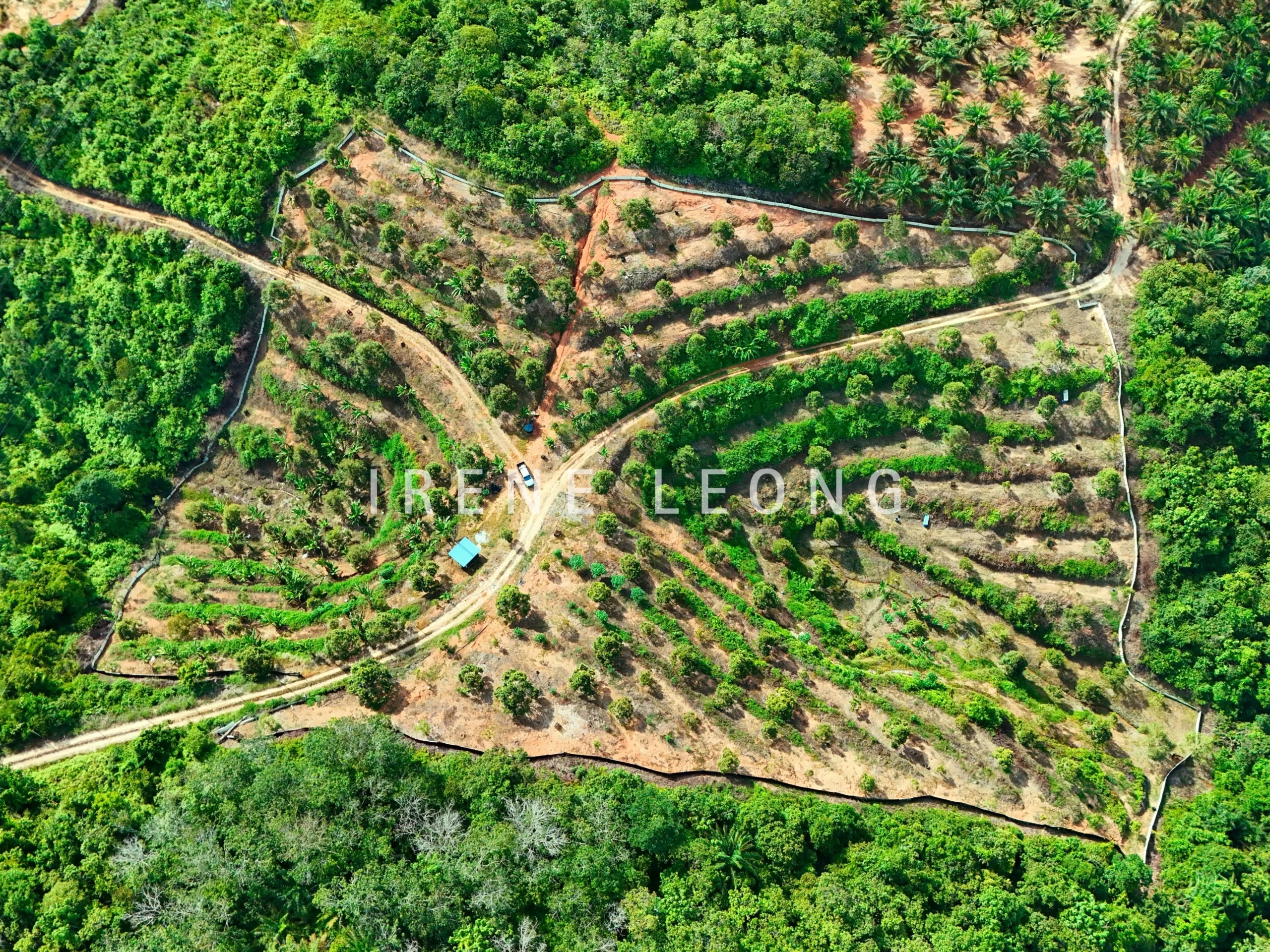 DJI_20240617160305_0034_D_cropped
