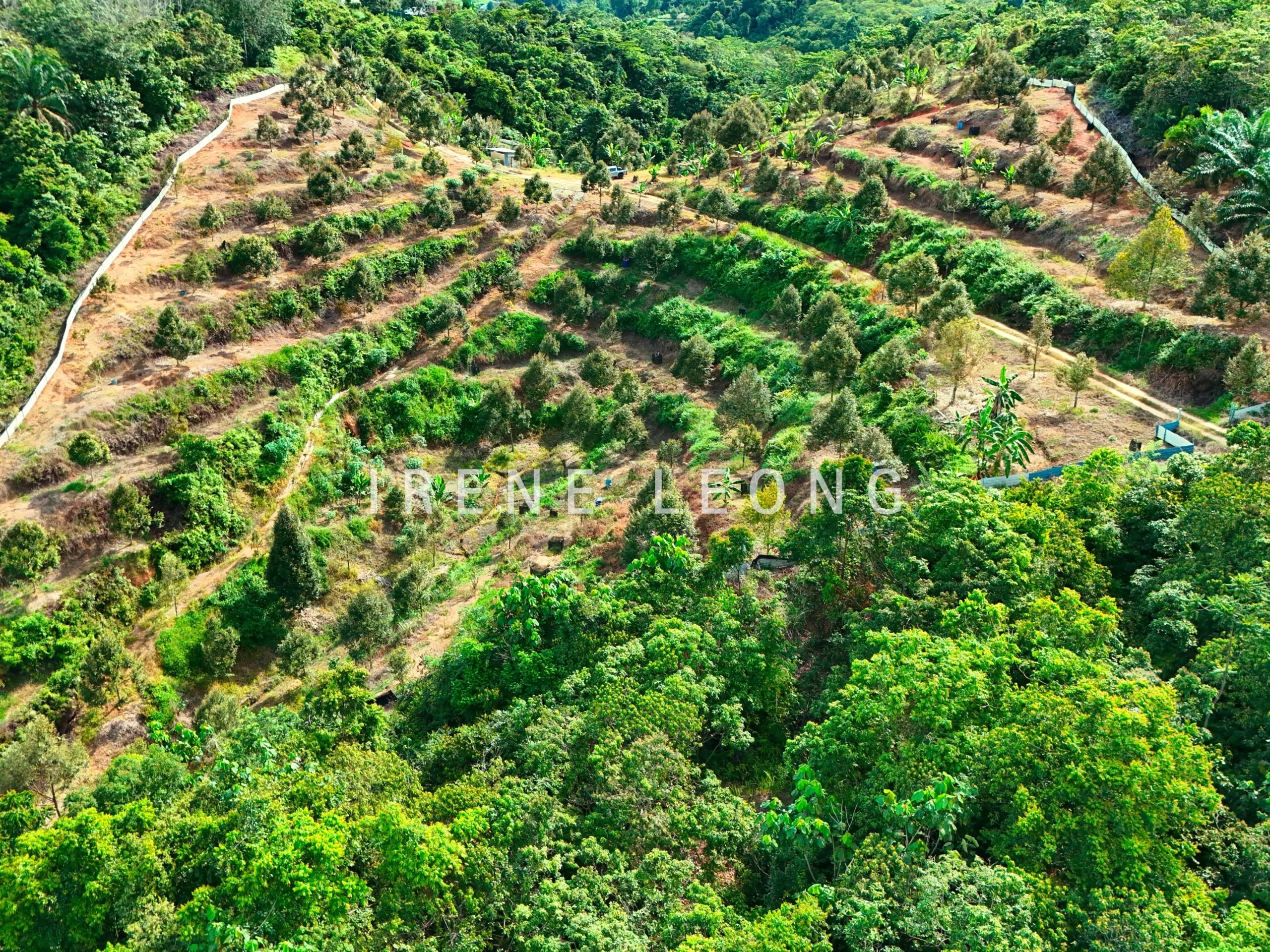 DJI_20240617160638_0039_D_cropped