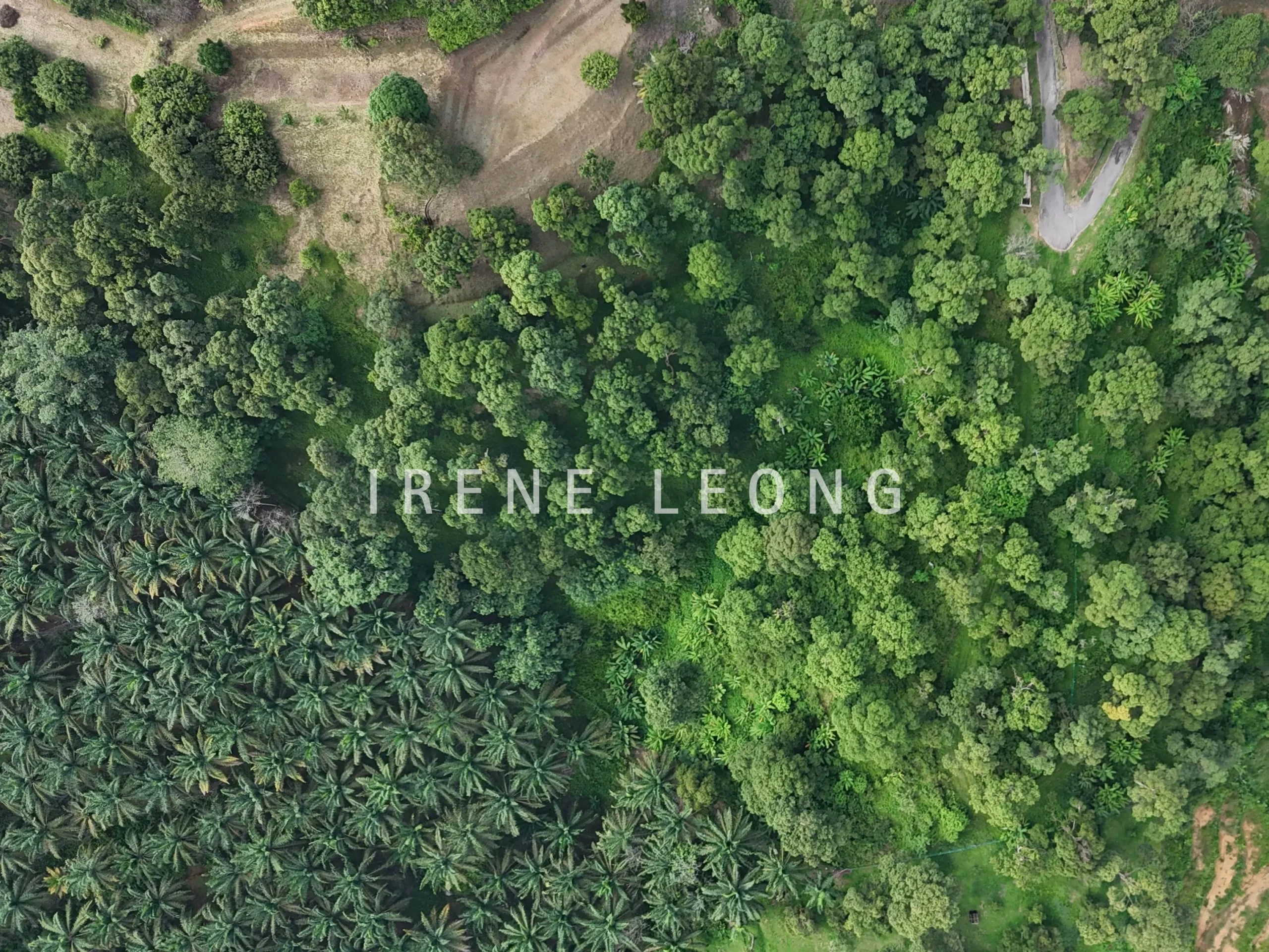 DJI_20240621100312_0021_D-crushimage