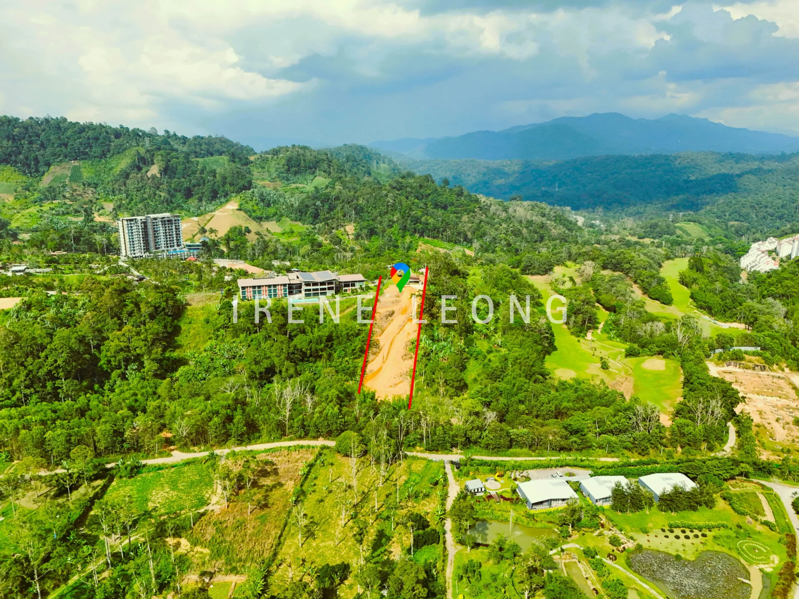 DJI_20240705161234_0403_D_-crushimage