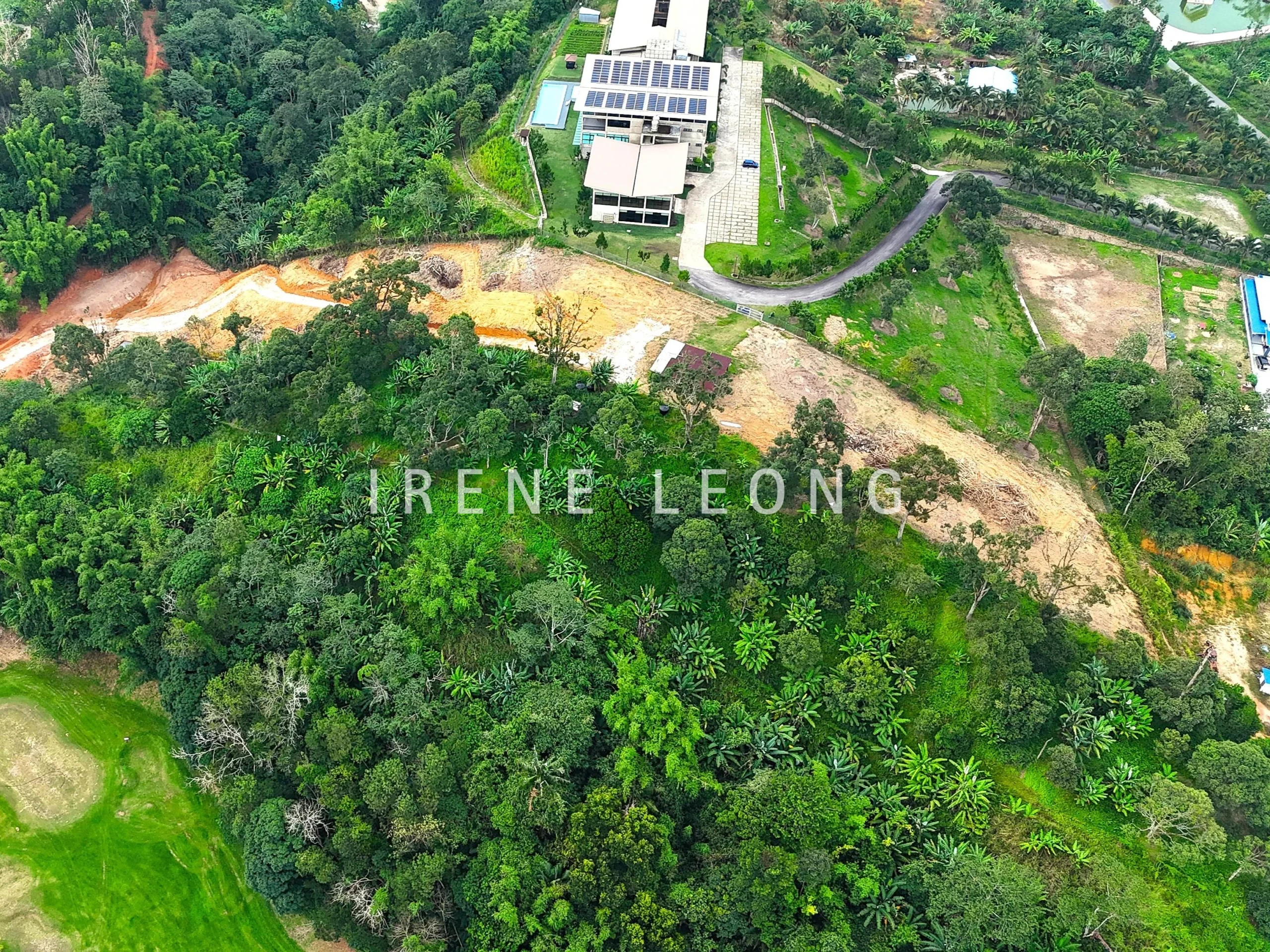 DJI_20240712191126_0499_D-crushimage