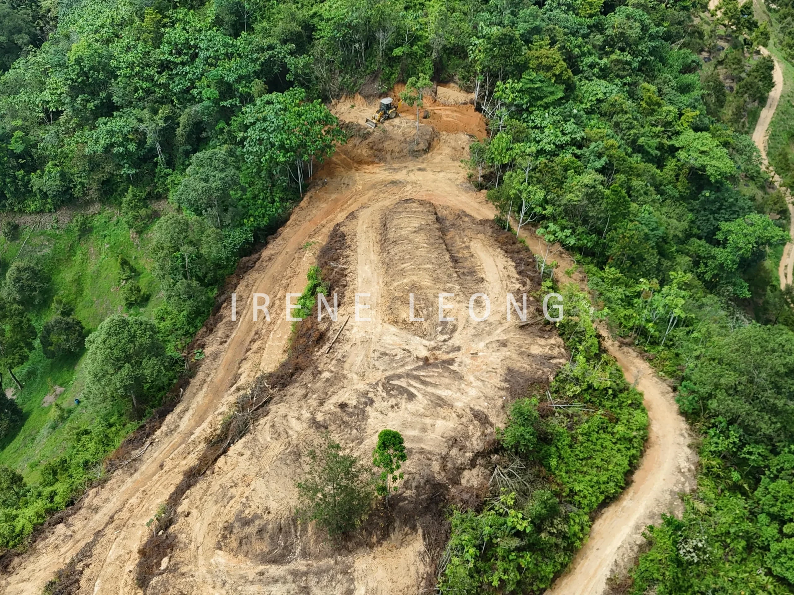 DJI_20240720144140_0046_D_cropped