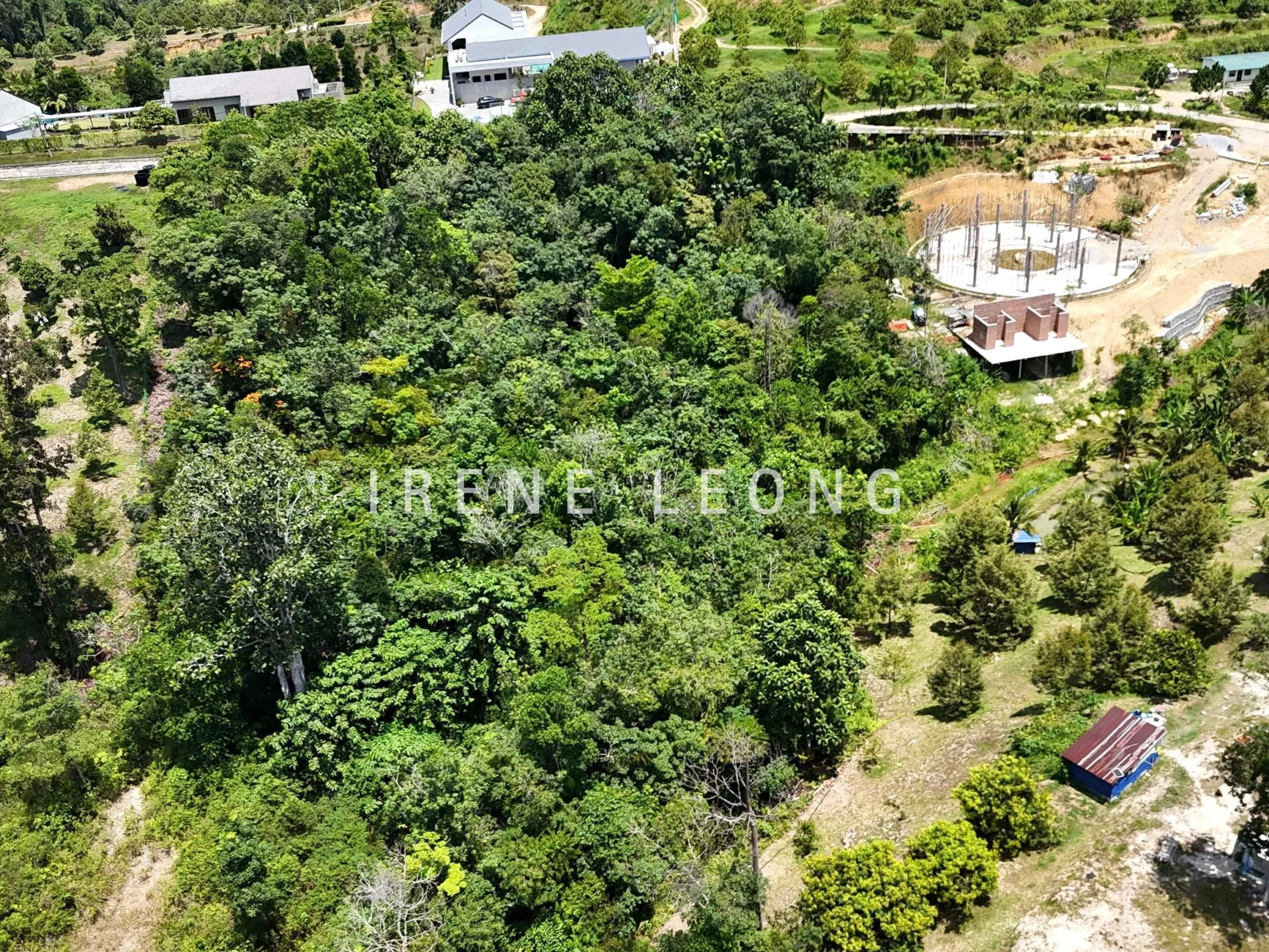 DJI_20240810131957_0038_D_cropped