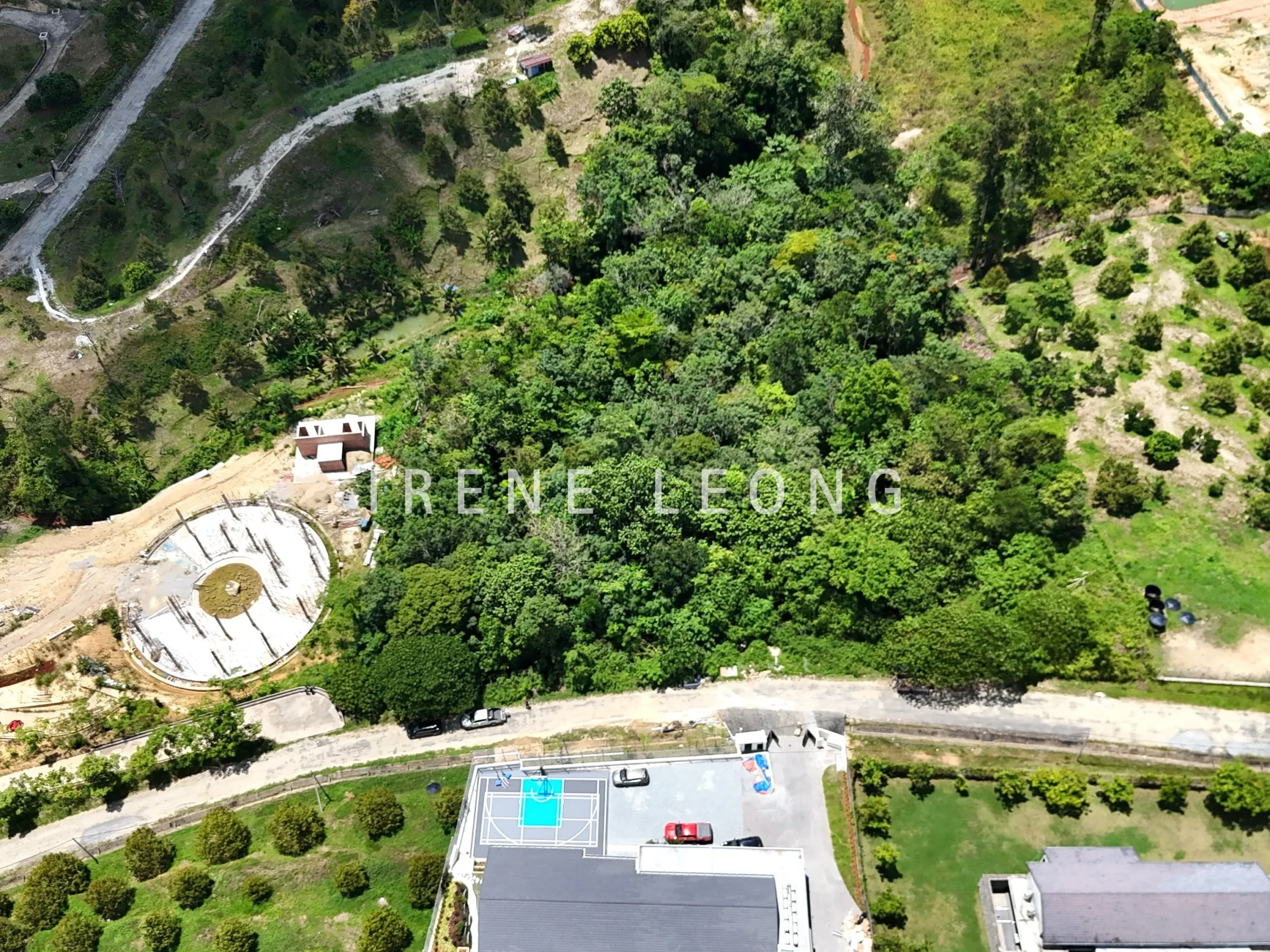 DJI_20240810132803_0054_D_cropped