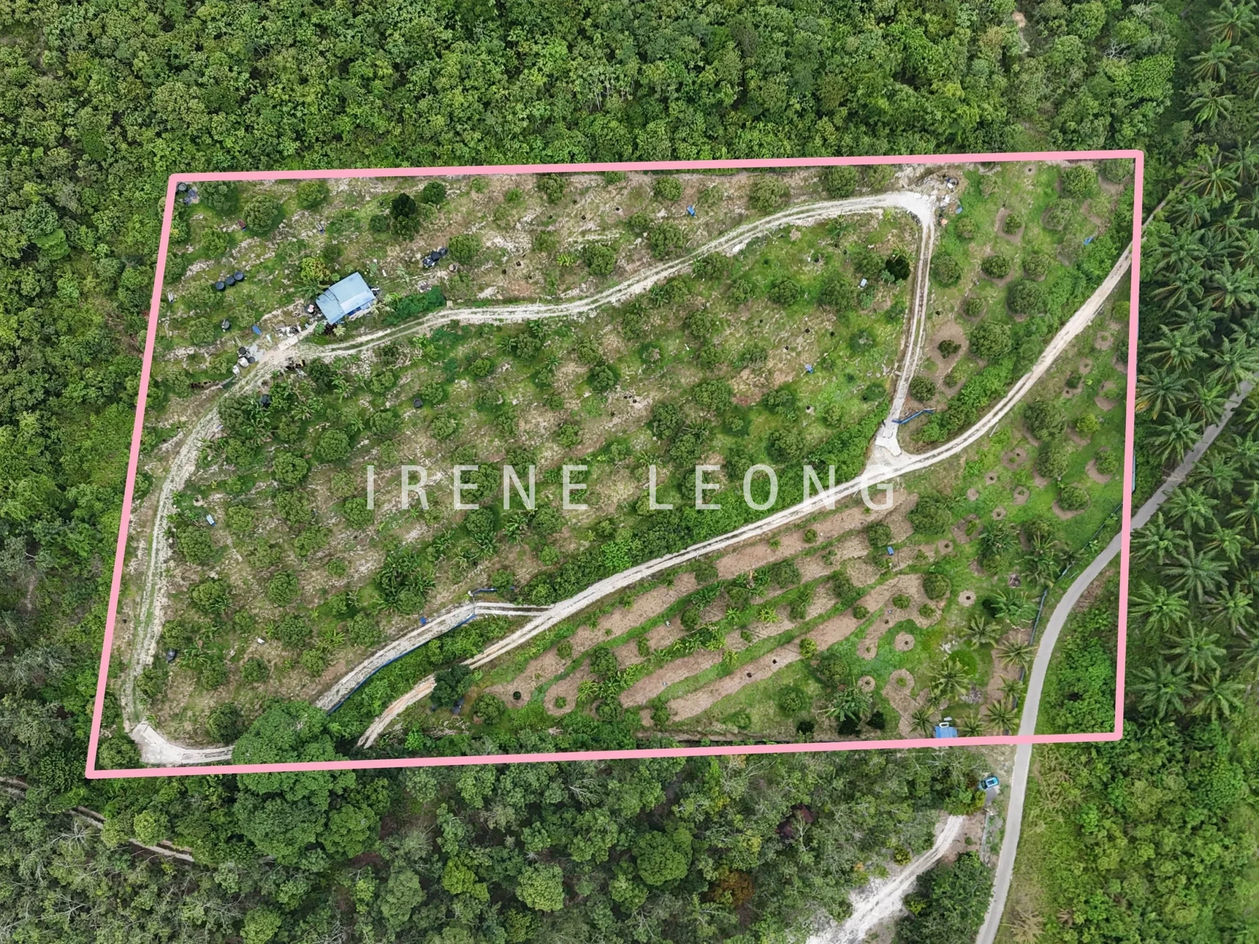 DJI_20240819152151_0002_D_1-crushimage_cropped