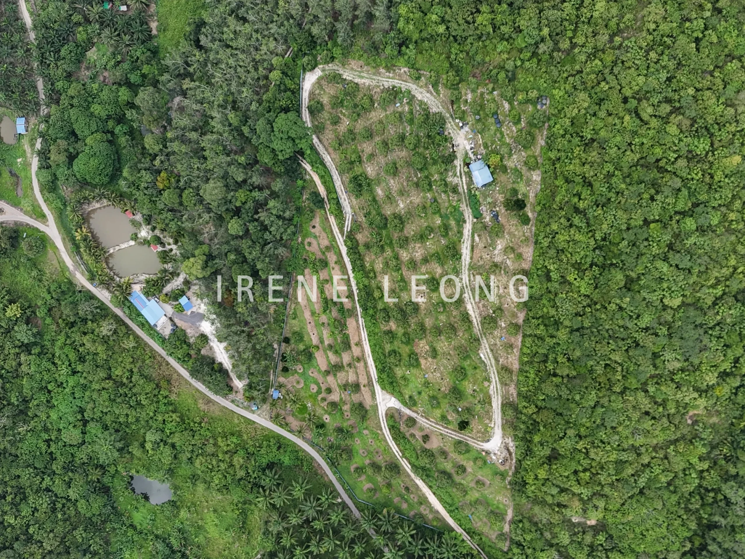 DJI_20240819152305_0005_D-crushimage_cropped