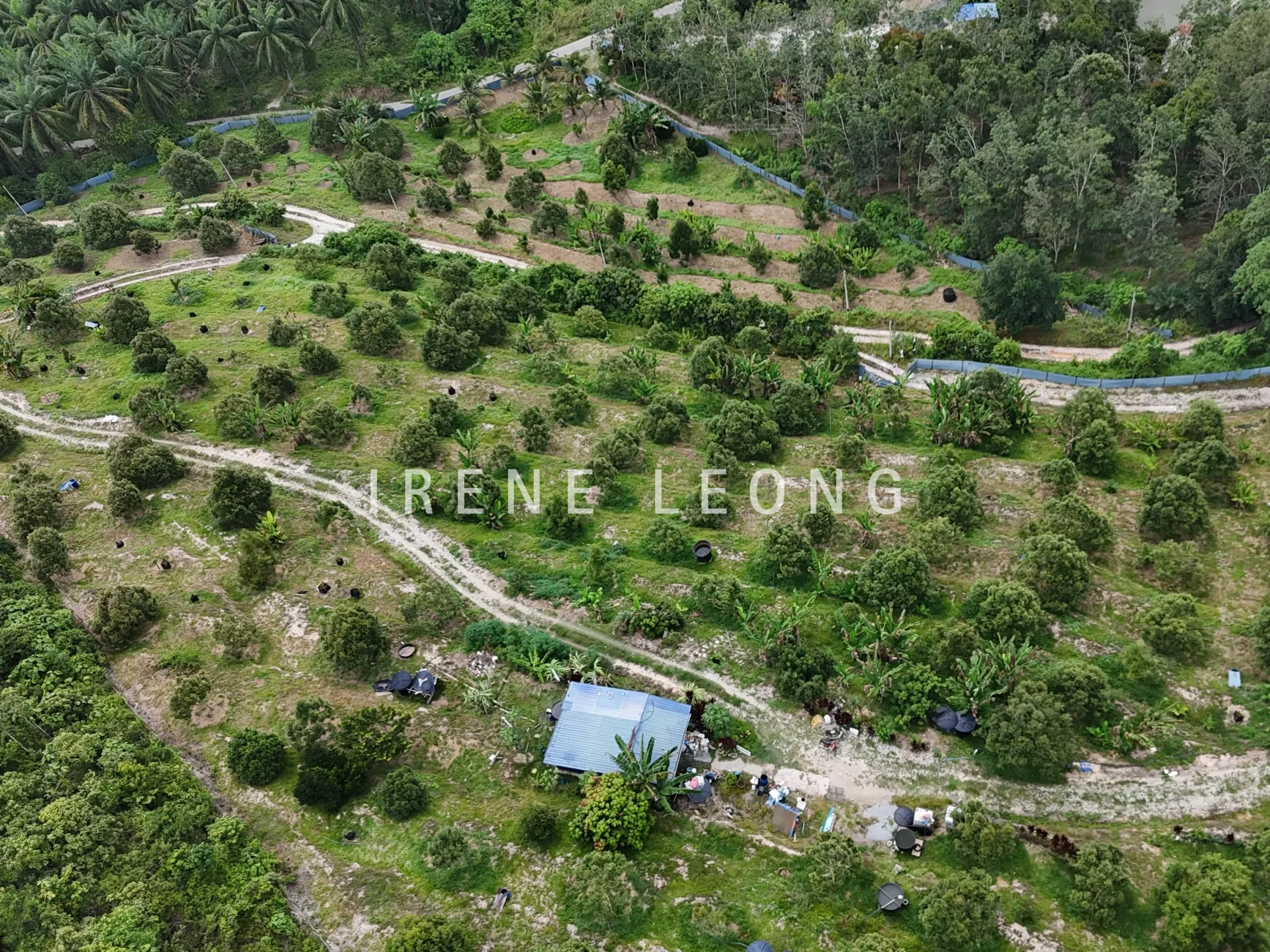 DJI_20240819152537_0010_D-crushimage_cropped