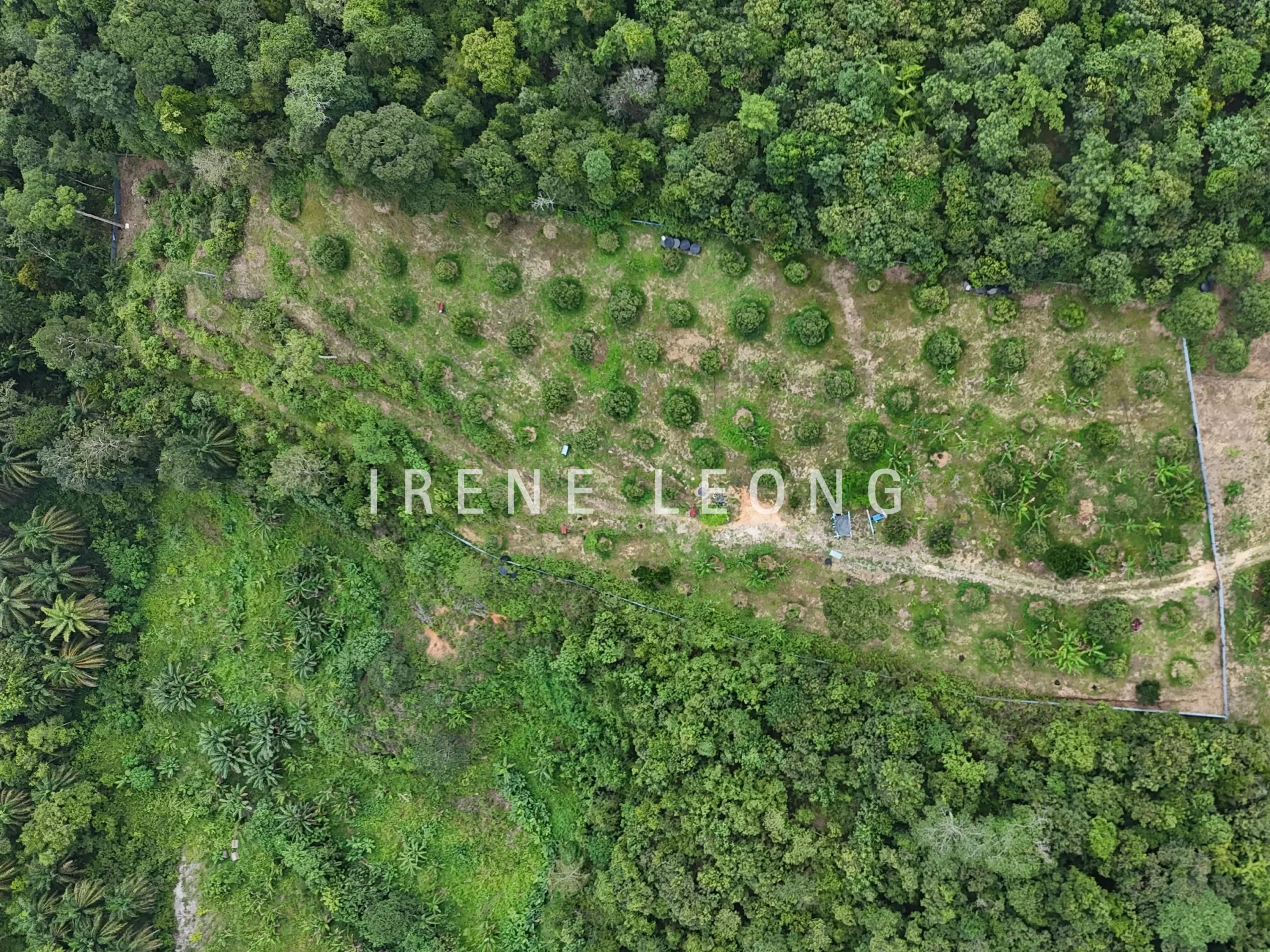 DJI_20240819152710_0013_D-crushimage_cropped