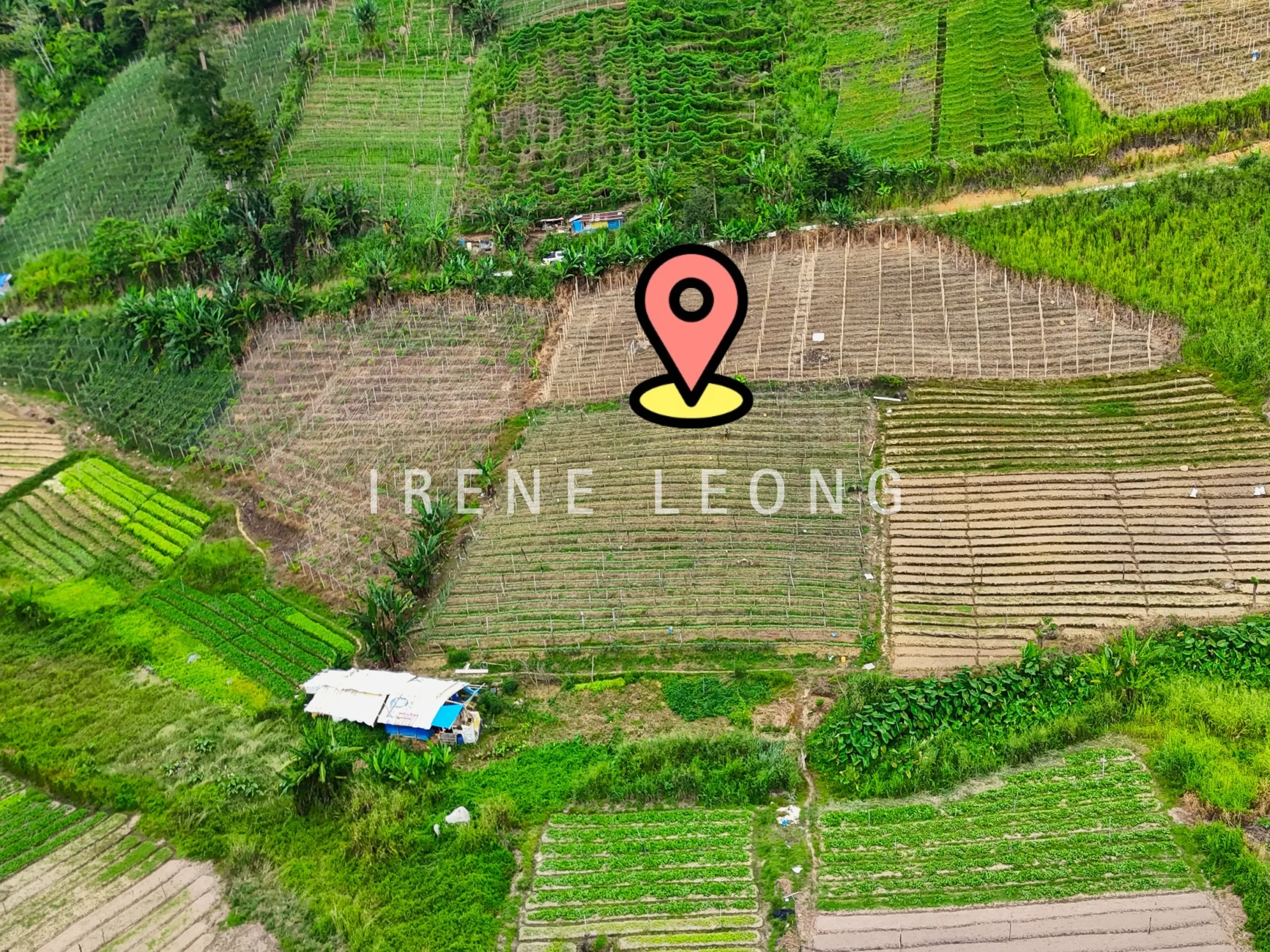 DJI_20240824150230_0122_D-min'1