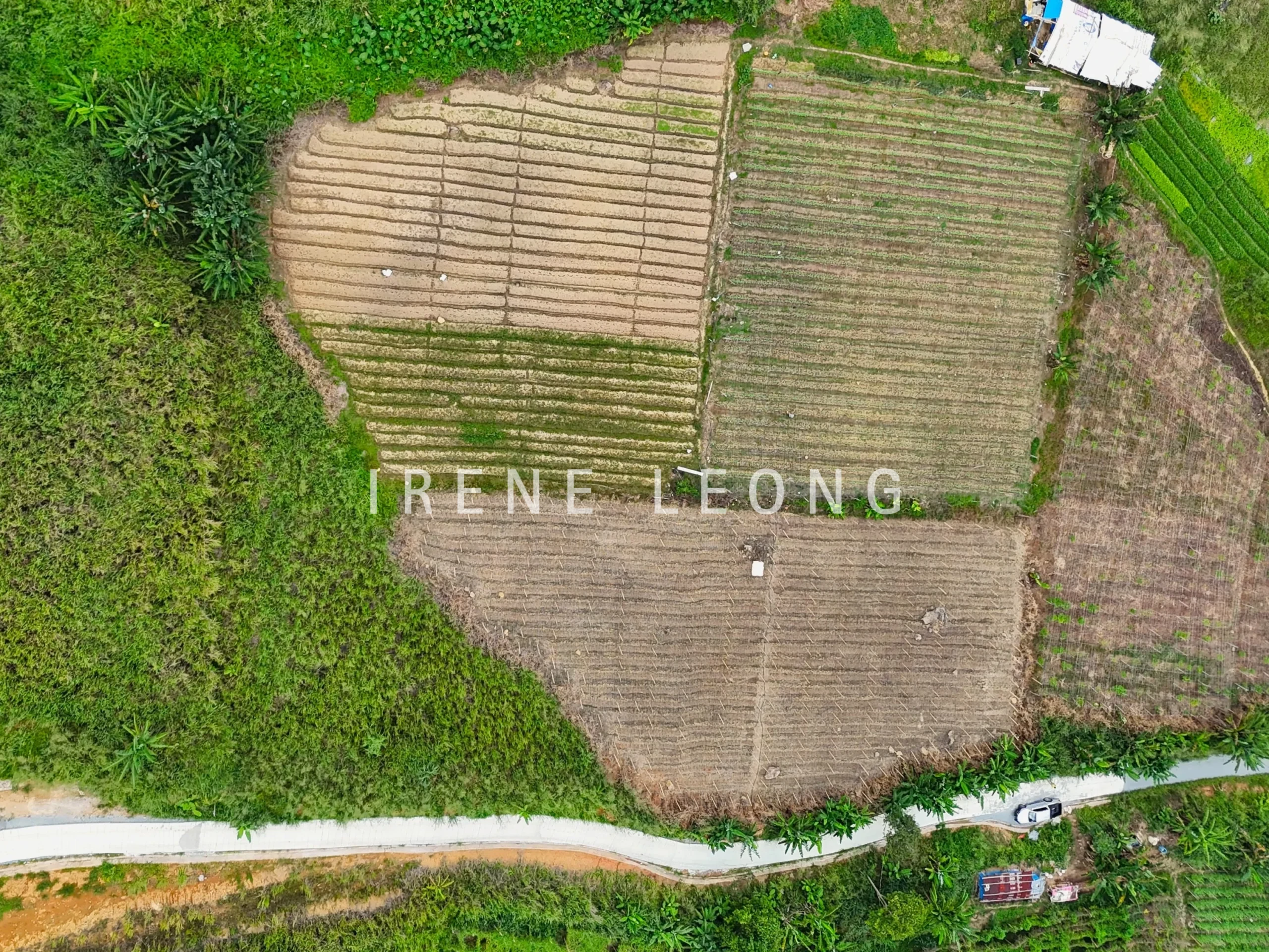 DJI_20240824150302_0123_D-min