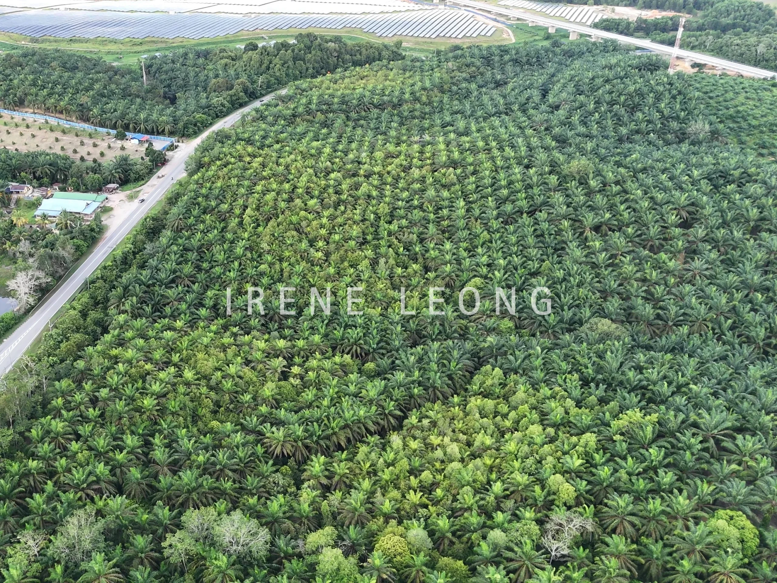 DJI_20240919173831_0535_D - frame at 0m6s