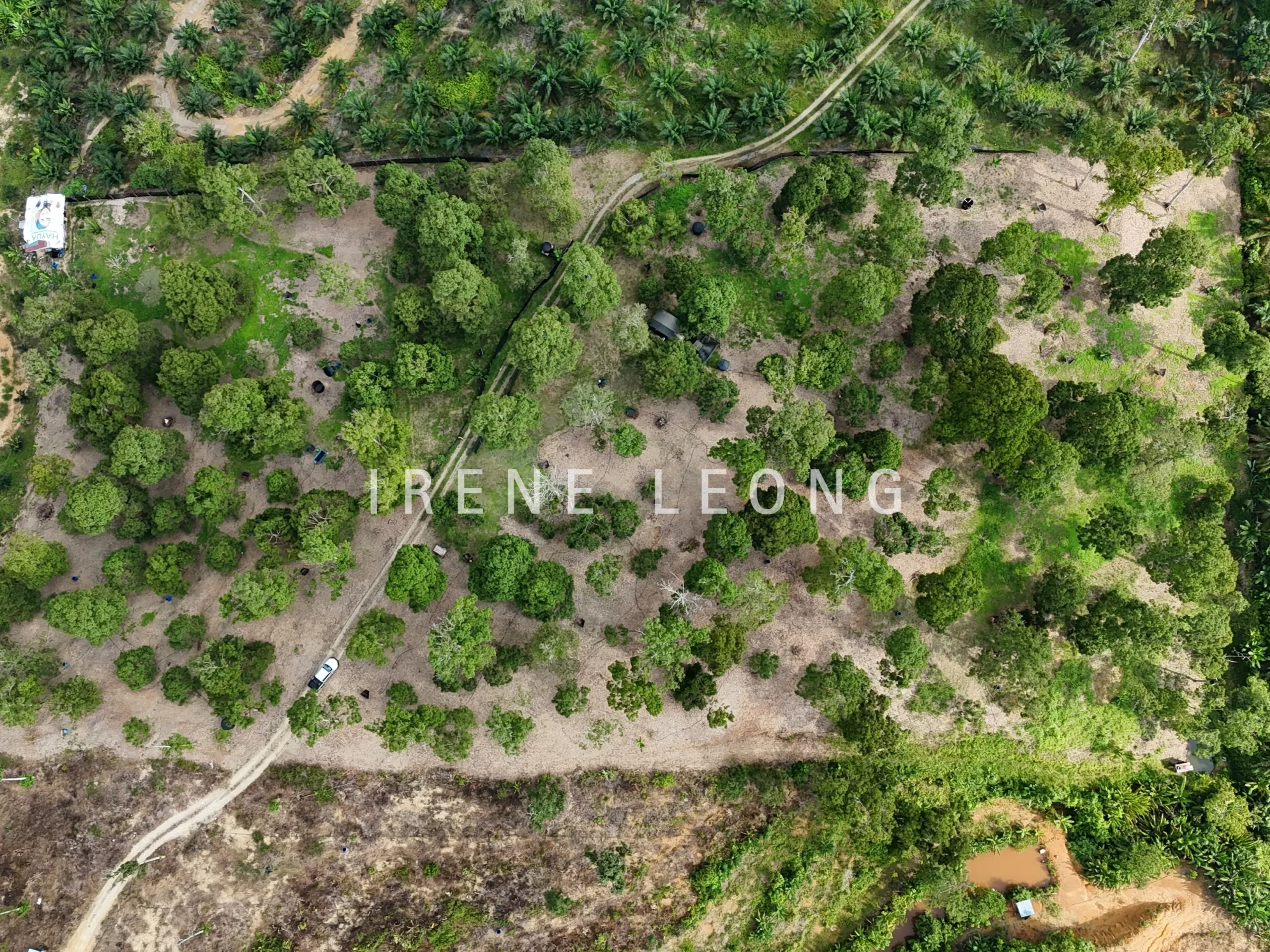 DJI_20241001164713_0568_D